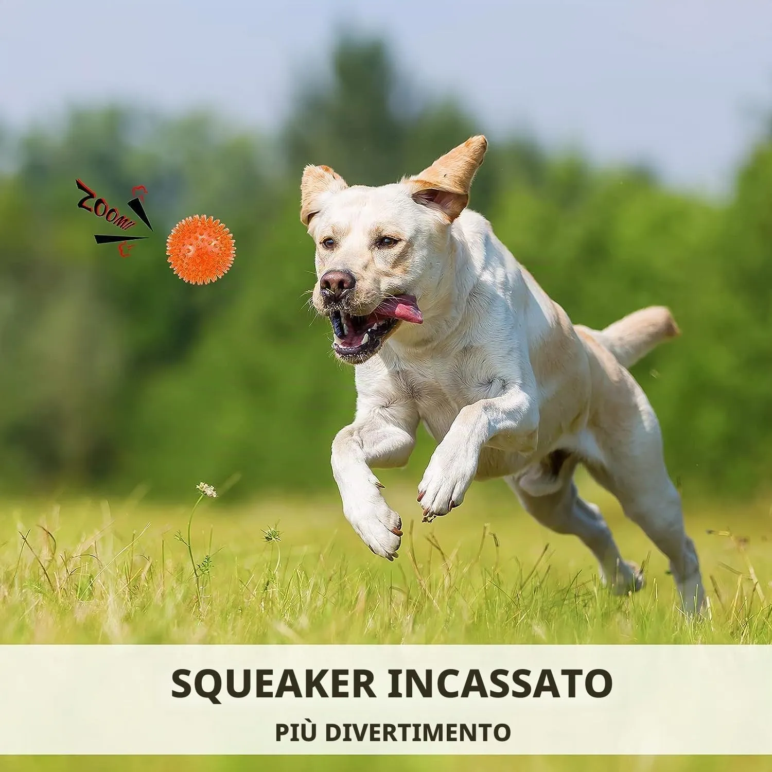 Petizer Confezione da 6 giocattoli sonori per cani, 9 cm, giocattolo da piscina galleggiante, giocattolo da piscina per cuccioli, gomma TPR da masticare per la noia, pulizia dei denti per cani di - immagine 4