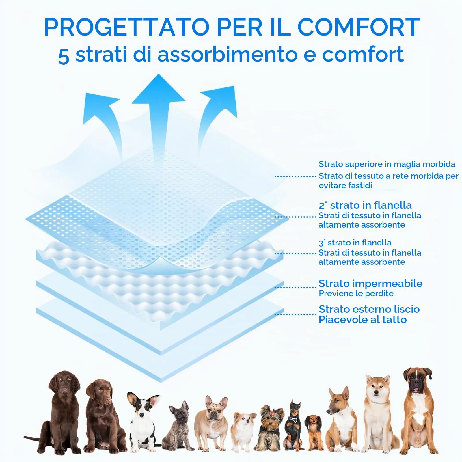 AMFUN 3 Pezzi Pannolini per Cani Cane Femmina Lavabili, Pannolini Cane Femmina Regolabile e Cinghie, Mutande Igieniche Animali Lavabili, Riutilizzabili, Altamente Assorbenti (M) - immagine 3
