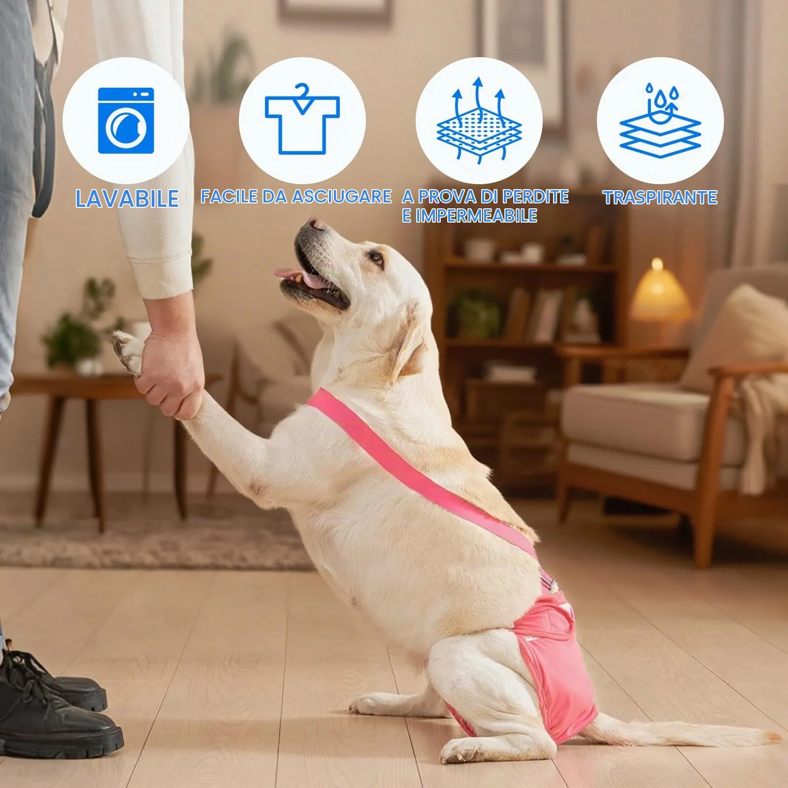 AMFUN 3 Pezzi Pannolini per Cani Cane Femmina Lavabili, Pannolini Cane Femmina Regolabile e Cinghie, Mutande Igieniche Animali Lavabili, Riutilizzabili, Altamente Assorbenti (M) - immagine 5
