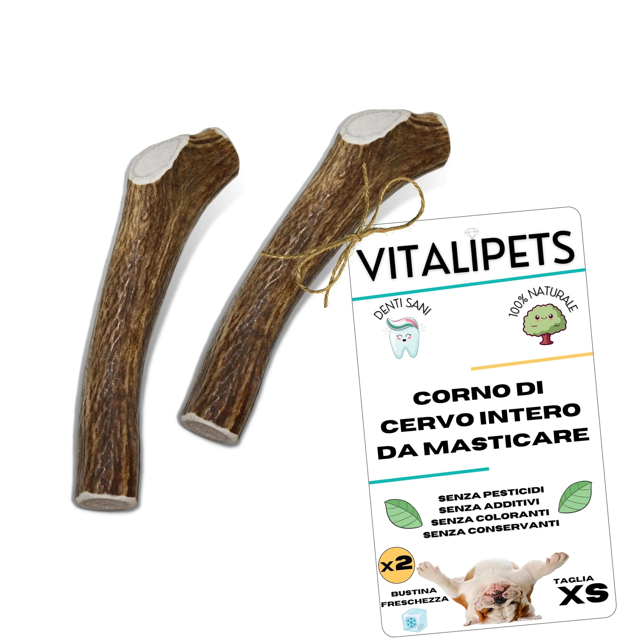 Corno di Cervo per Cani, Taglia XS Cani Mini, 2 unità - immagine 1