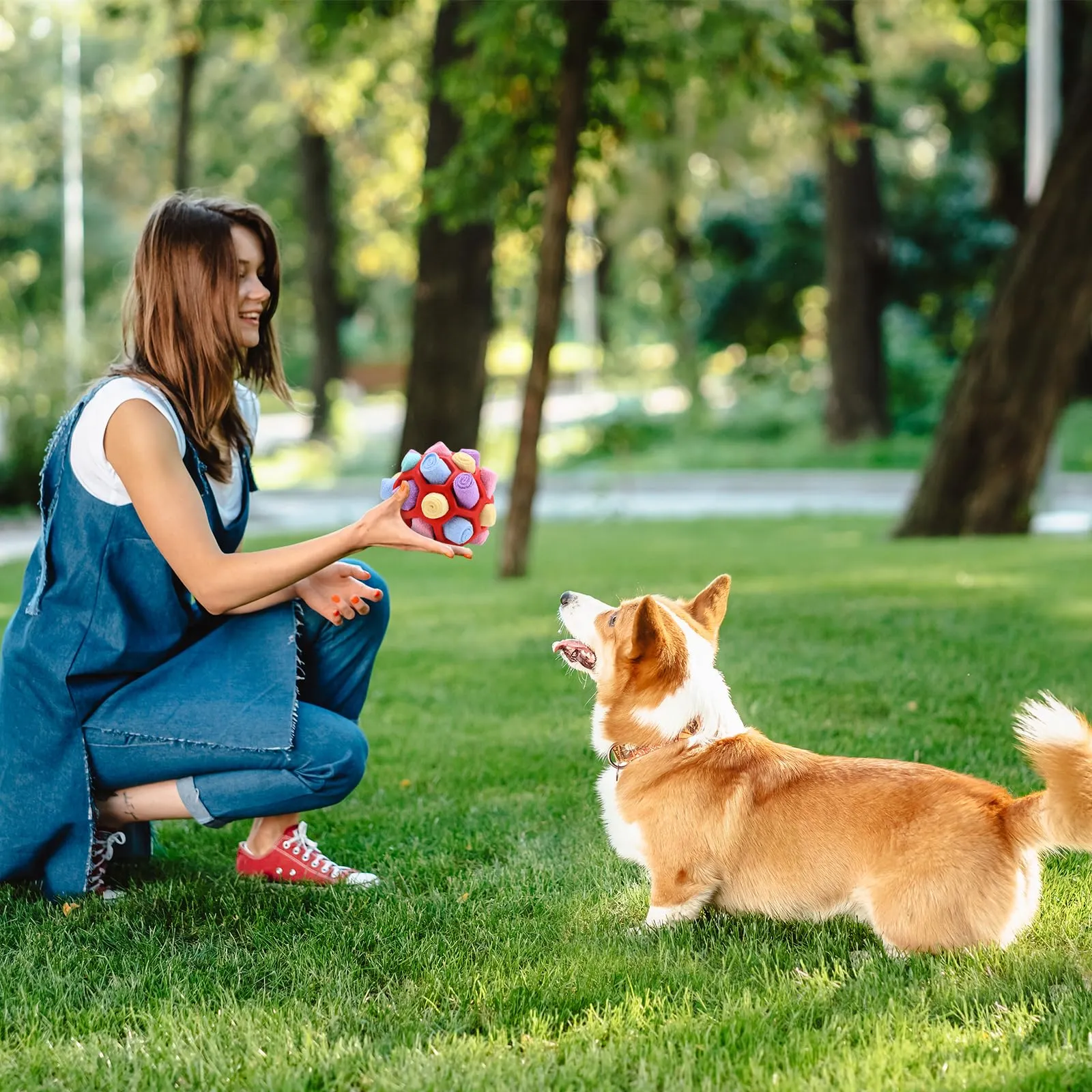 BINYI Tappetino Snuffle Mat per Cani Giochi Interattivi per Cane Indistruttibile Giocattoli Palla da Fiuto per Addestramento per Giochi Cani di Piccola Taglia Media Grandi - immagine 2