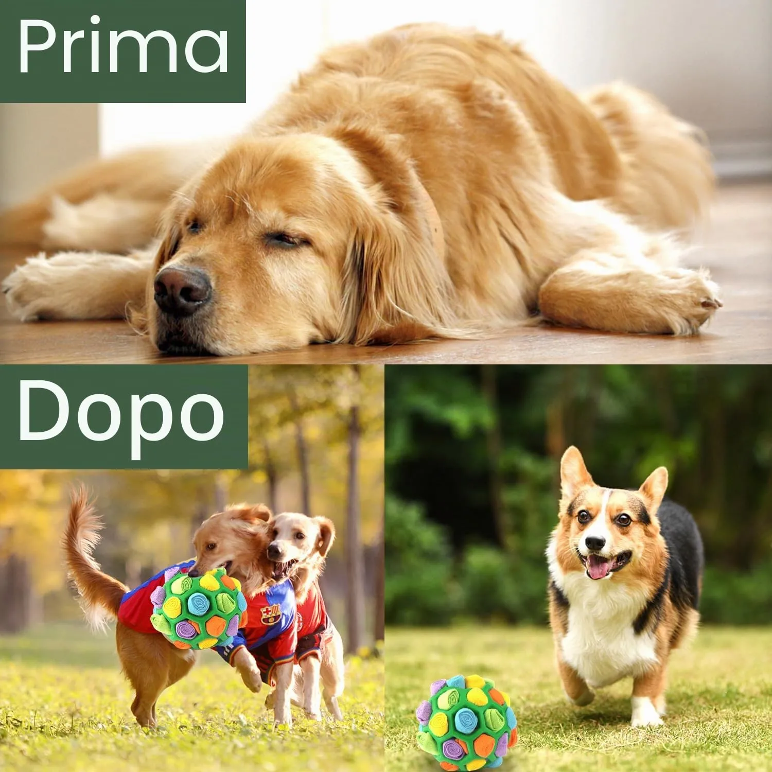 BINYI Tappetino Snuffle Mat per Cani Giochi Interattivi per Cane Indistruttibile Giocattoli Palla da Fiuto per Cani Addestramento - immagine 6