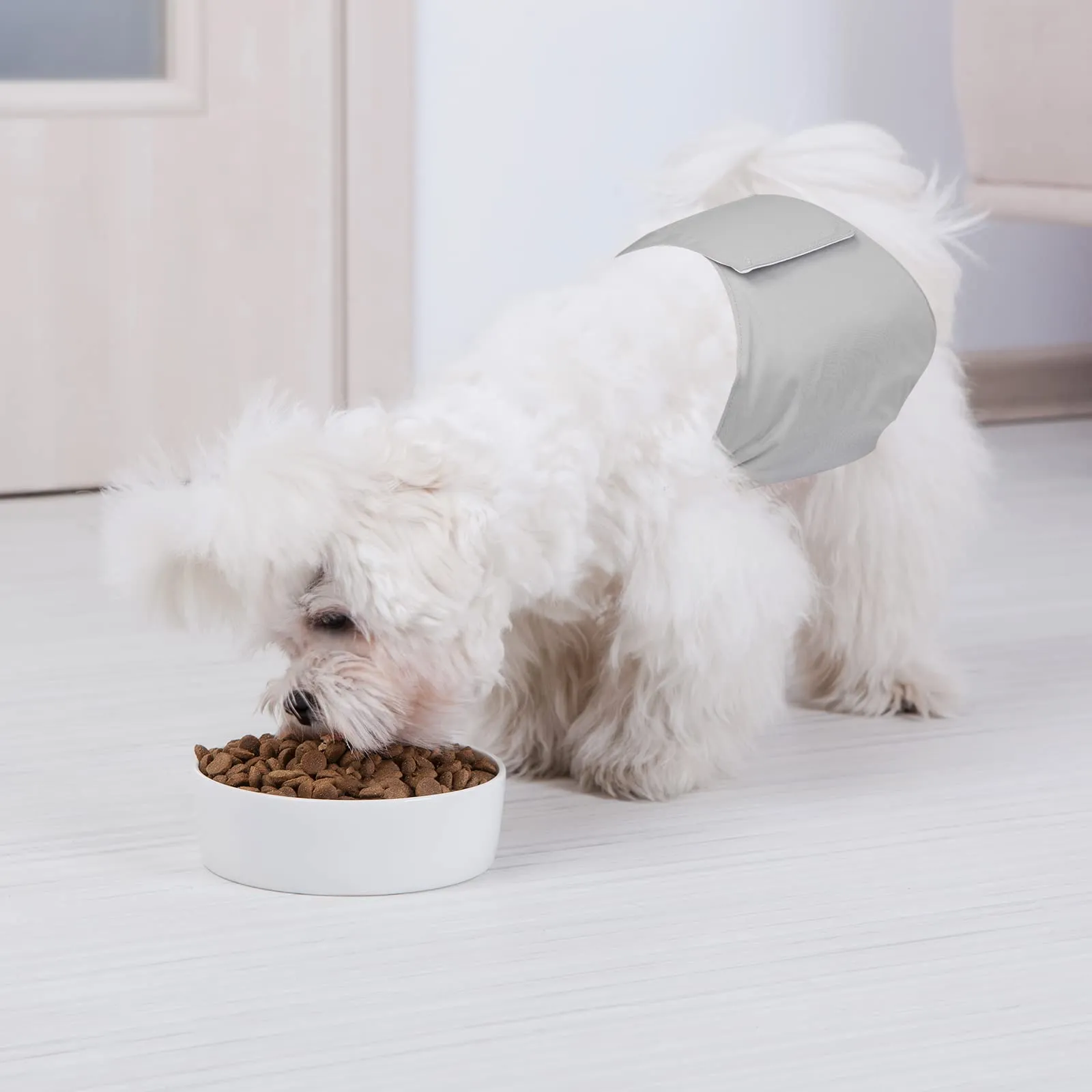 [3 Pezzi] Avont Pannolini Cani Maschi, Fascia Igienica per Cane Maschi Altamente Assorbenti, Mutandina per Cane, Impermeabile e Riutilizzabili, Lavabili in Lavatrice -XL - immagine 2