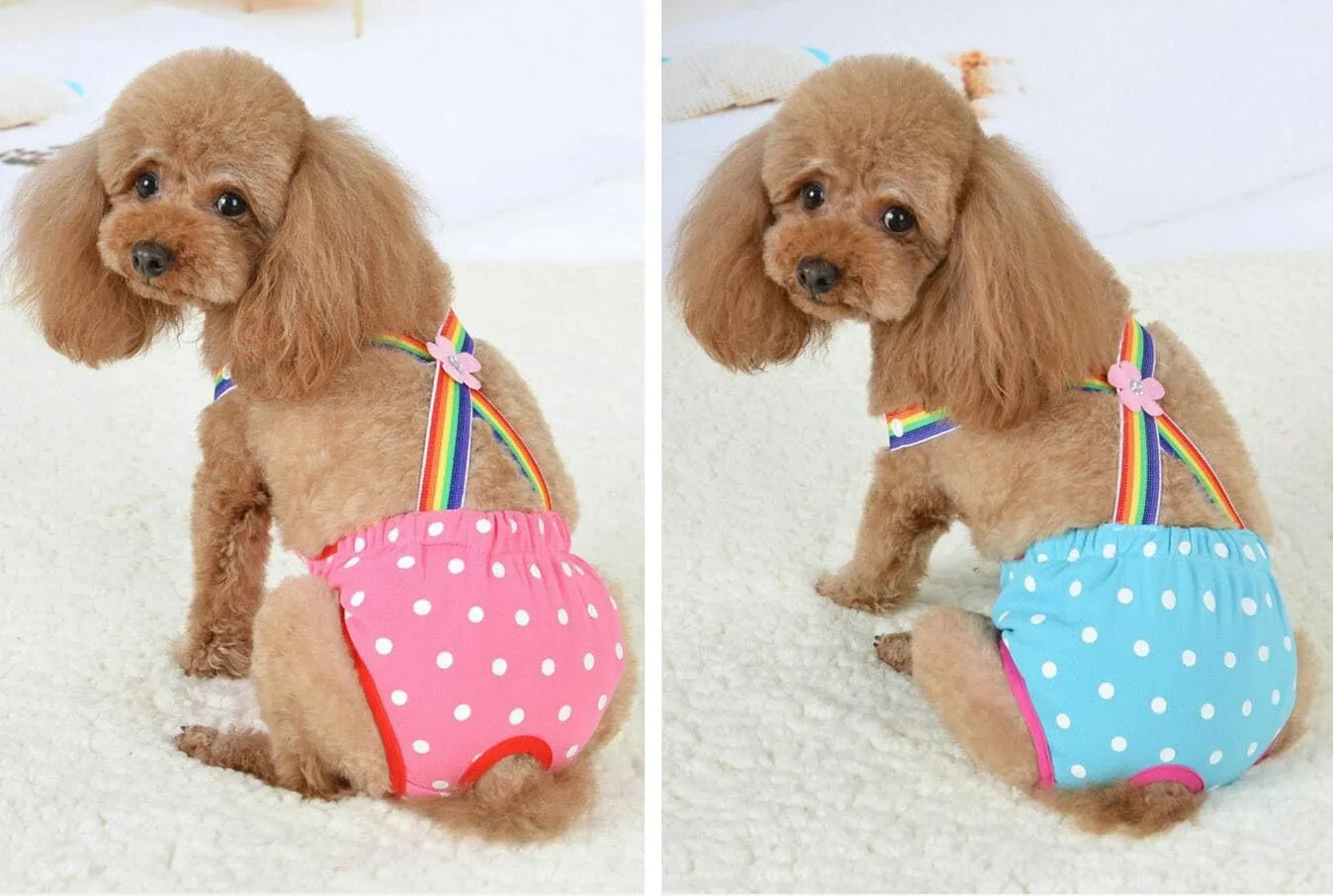 Oyccen 2 Pezzi Pantaloni Sanitari per Cani di Piccola Taglia Igiene Mutandine a Bretelle Pannolino Fisiologico del Cucciolo Pantaloni per Animali Domestici - immagine 5