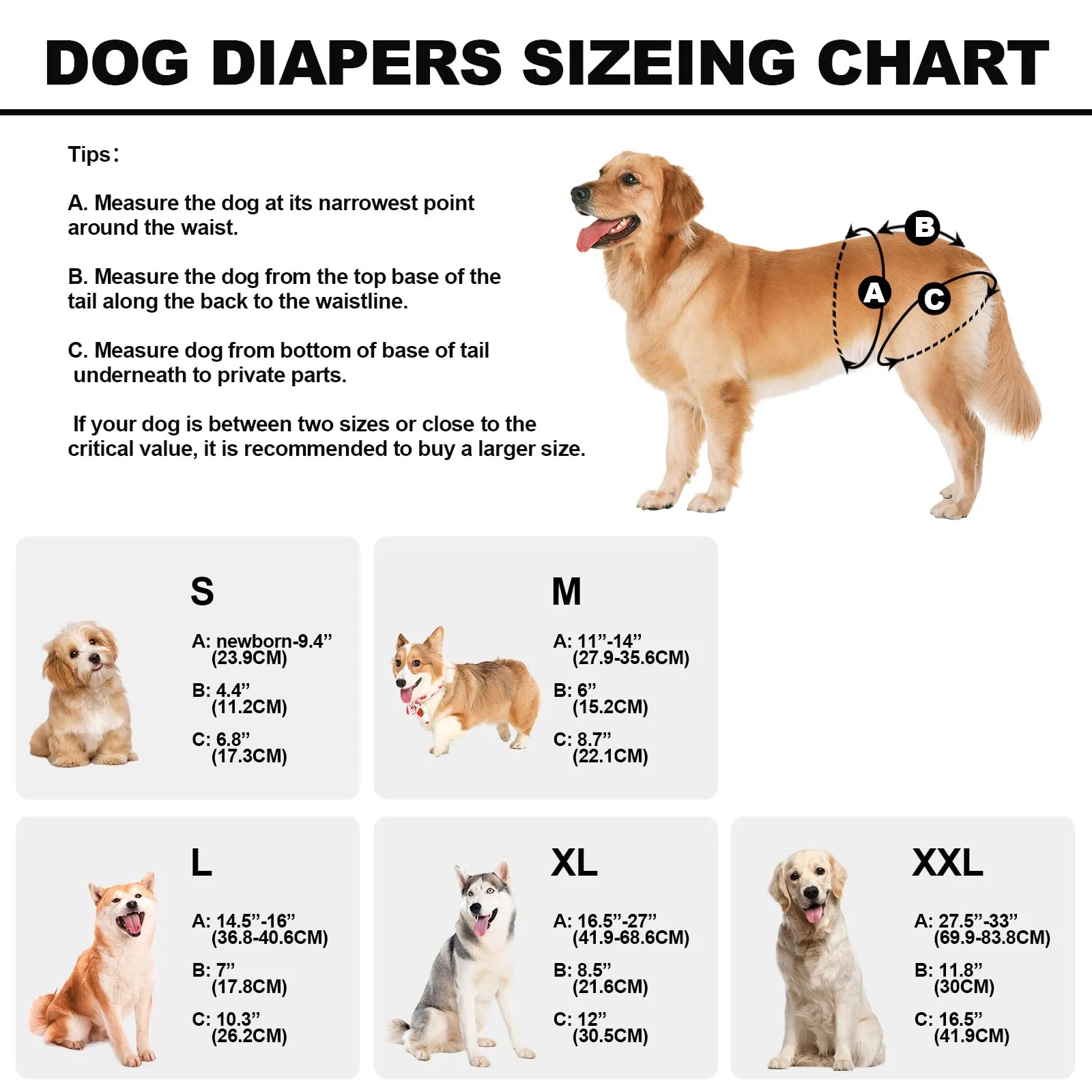 Pannolini riutilizzabili per cani femmina, lavabili, premium, confezione da 3, altamente assorbenti per cani di piccola taglia, per calore, incontinenza e addestramento dei cuccioli (S) - immagine 3
