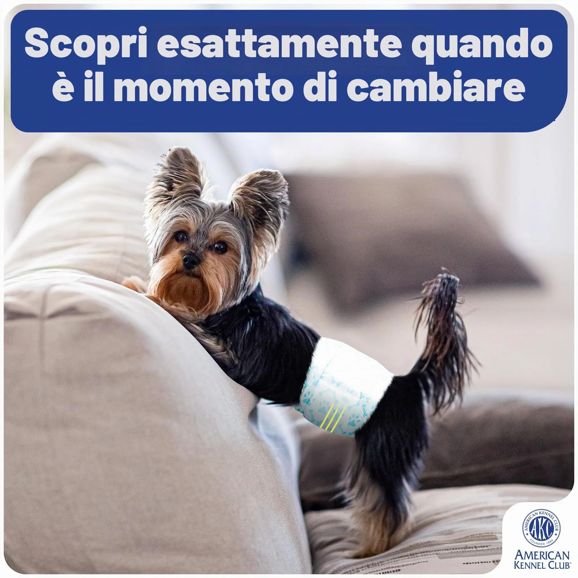 American Kennel Club Pannolini usa e getta per cani maschi, con indicatore di umidità, L, 50 pezzi - immagine 4