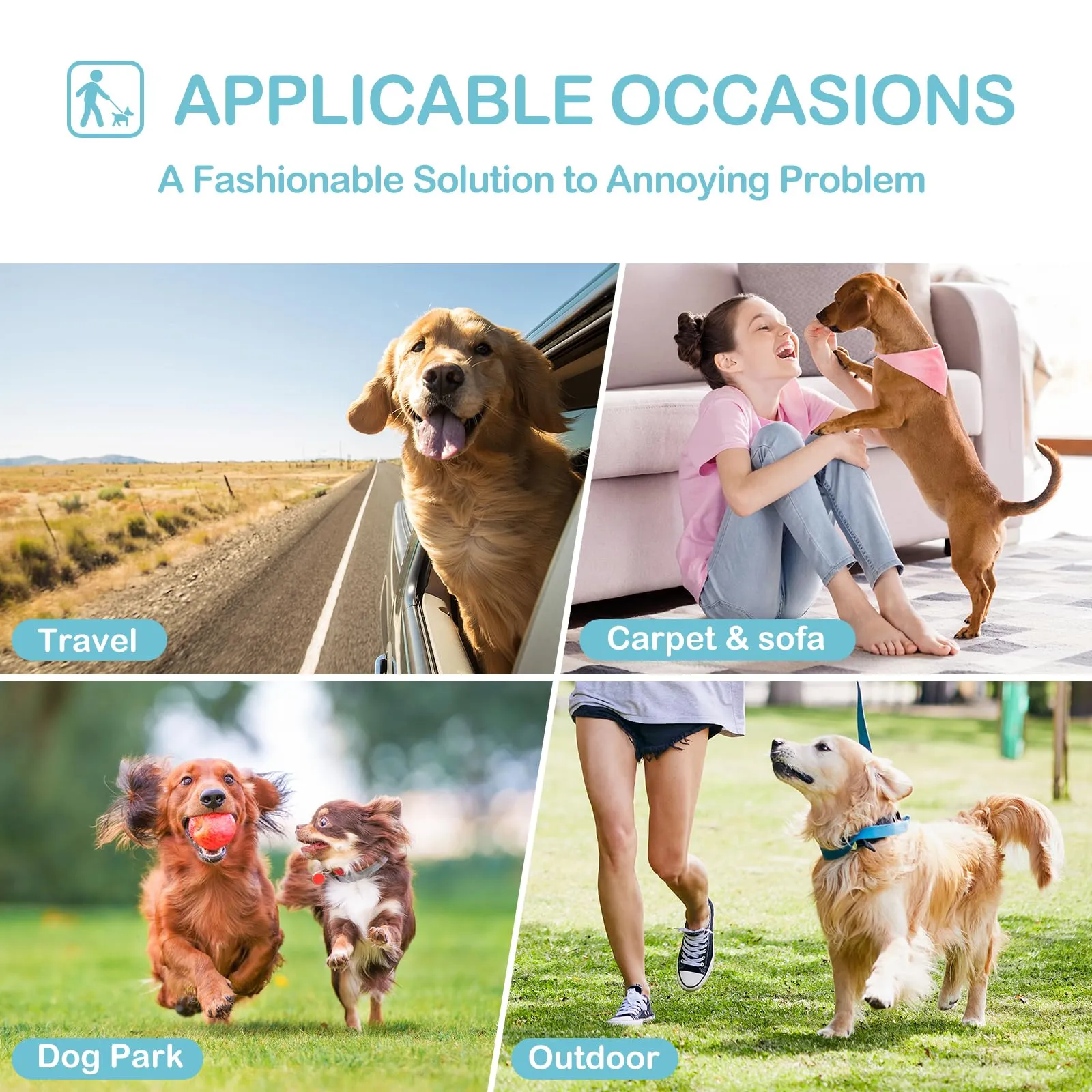 Avont Pannolini Cane Lavabili[3 Pezzi], Mutandina per Cane Femmina Altamente Assorbenti, Impermeabile e Riutilizzabili, Lavabili in Lavatrice -Rosa/Menta/Grigio - immagine 8
