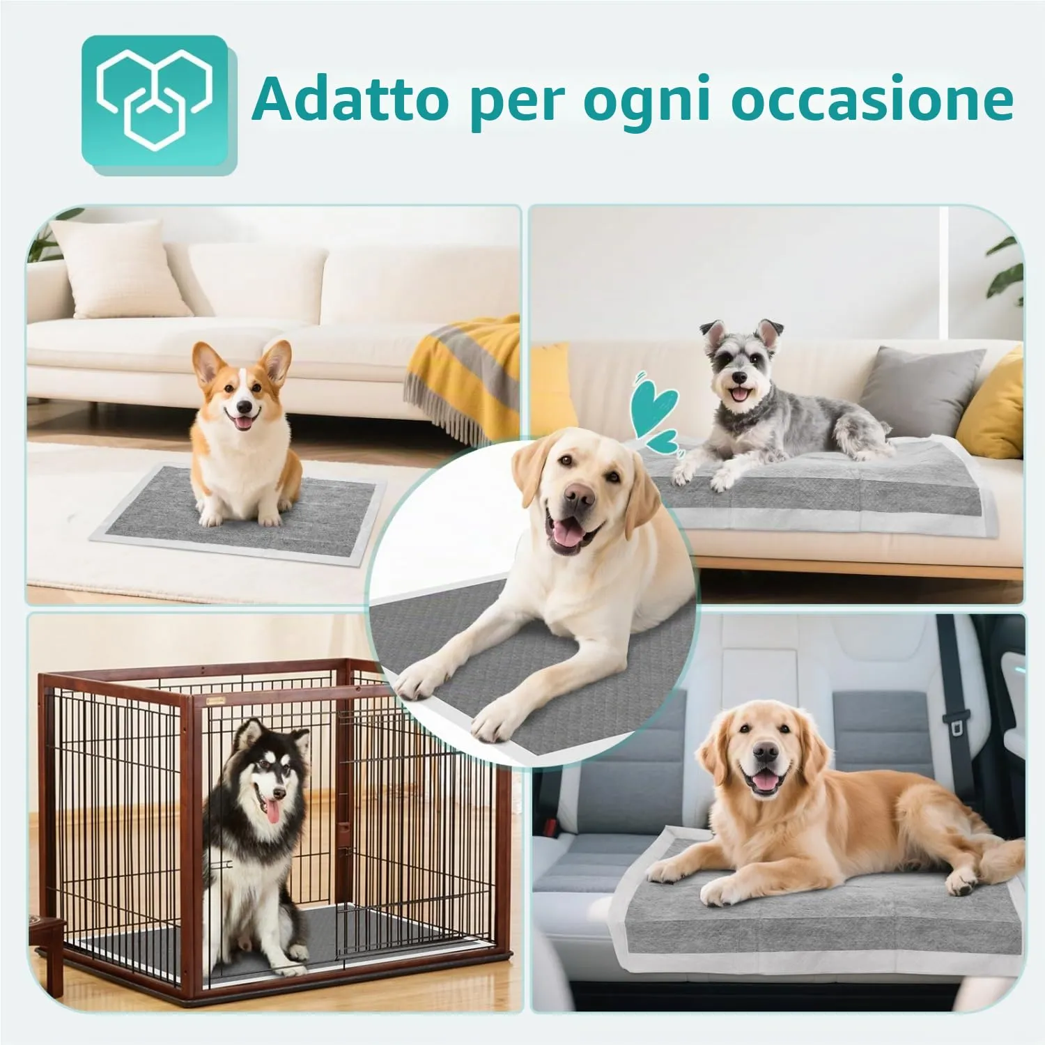 Nobleza Traversine Cani 50 Pezzi, con Carbone Attivo Neutralizza Odori, Tappetini Igienici per Cani 60x60cm, Asciugatura Rapida ad Protezione Antigoccia - immagine 7