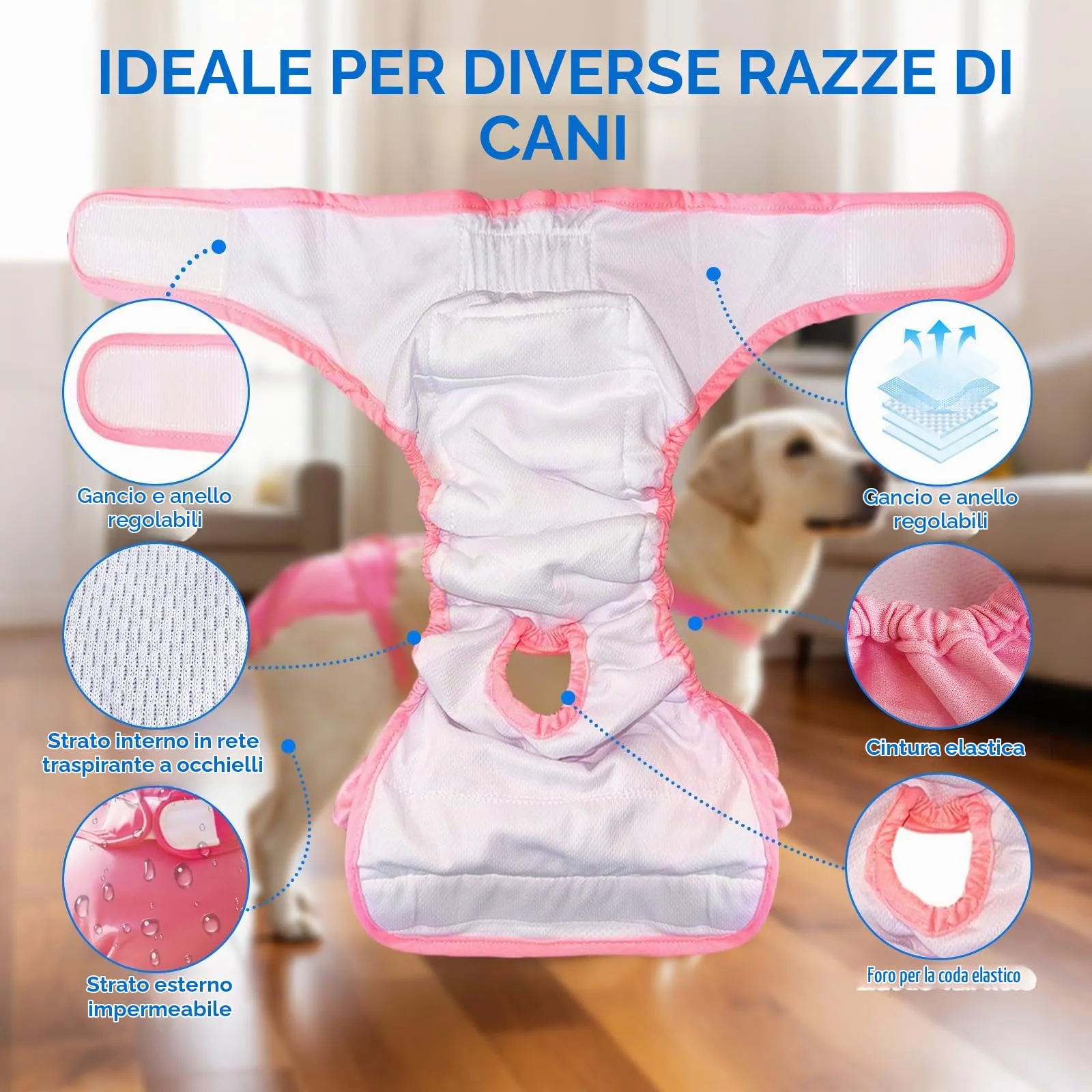 AMFUN 3 Pezzi Pannolini per Cani Cane Femmina Lavabili, Pannolini Cane Femmina Regolabile e Cinghie, Mutande Igieniche Animali Lavabili, Riutilizzabili, Altamente Assorbenti (L) - immagine 6