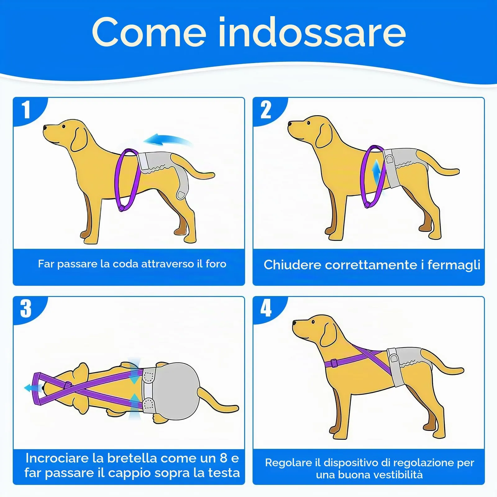 AMFUN 3 Pezzi Pannolini per Cani Cane Femmina Lavabili, Pannolini Cane Femmina Regolabile e Cinghie, Mutande Igieniche Animali Lavabili, Riutilizzabili, Altamente Assorbenti (L) - immagine 7