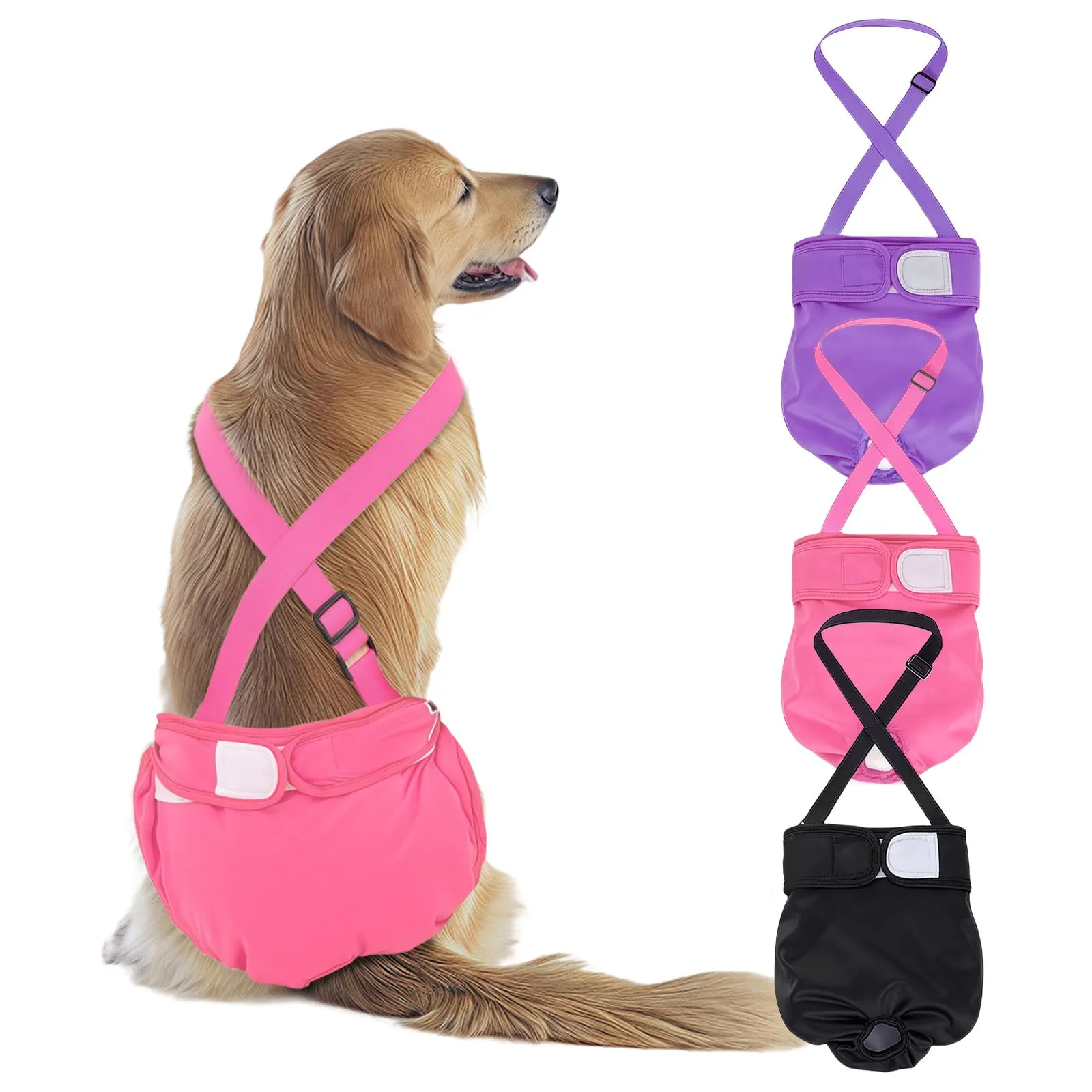 AMFUN 3 Pezzi Pannolini per Cani Cane Femmina Lavabili, Pannolini Cane Femmina Regolabile e Cinghie, Mutande Igieniche Animali Lavabili, Riutilizzabili, Altamente Assorbenti (XL) - immagine 1