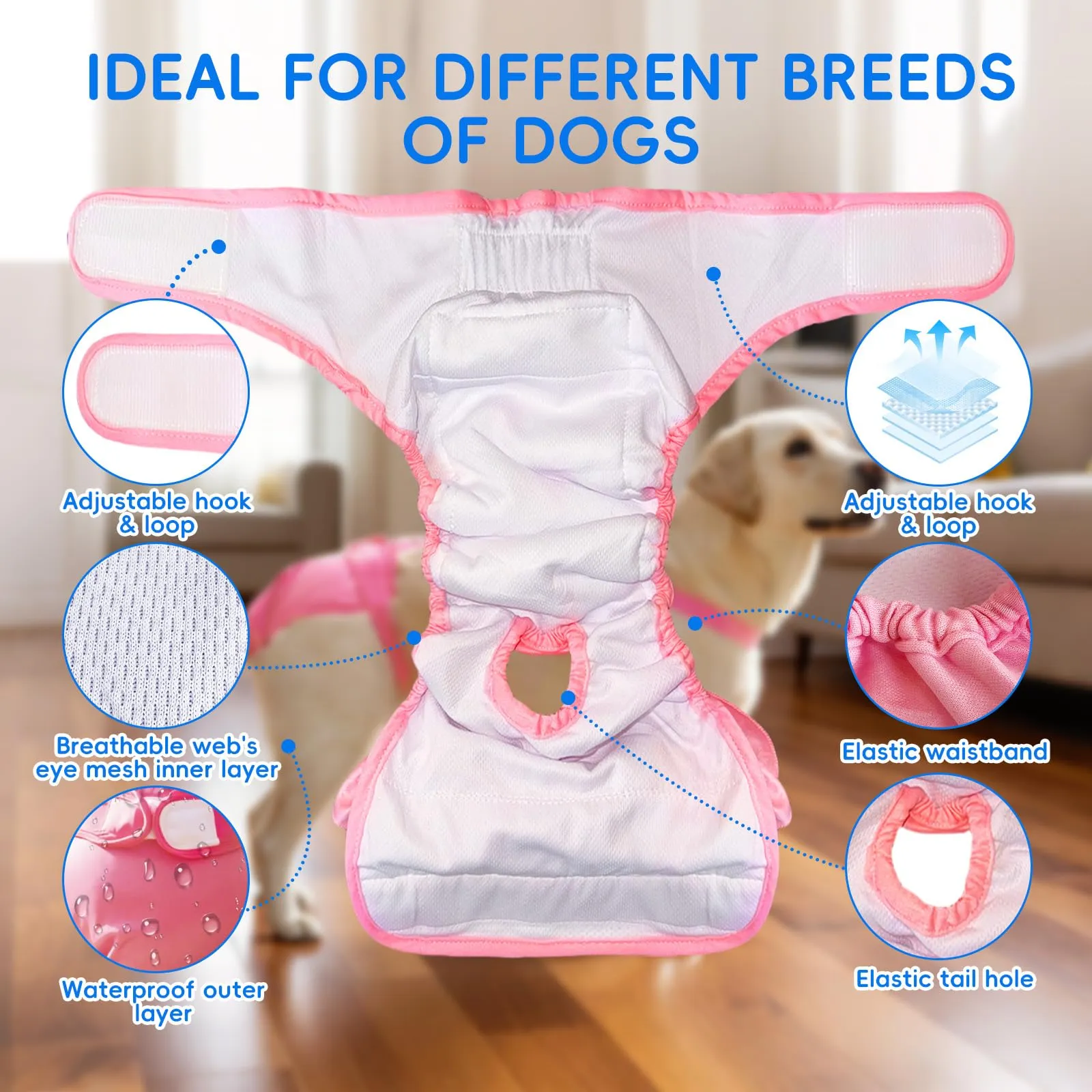 AMFUN 3 Pezzi Pannolini per Cani Cane Femmina Lavabili, Pannolini Cane Femmina Regolabile e Cinghie, Mutande Igieniche Animali Lavabili, Riutilizzabili, Altamente Assorbenti (XL) - immagine 6