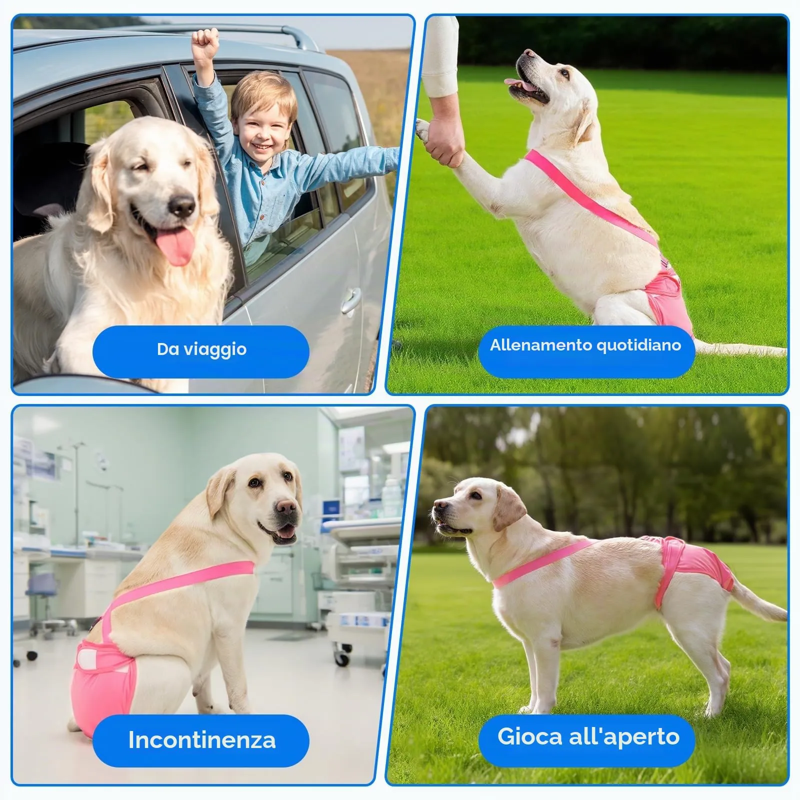 AMFUN 3 Pezzi Pannolini per Cani Cane Femmina Lavabili, Pannolini Cane Femmina Regolabile e Cinghie, Mutande Igieniche Animali Lavabili, Riutilizzabili, Altamente Assorbenti (XL) - immagine 9