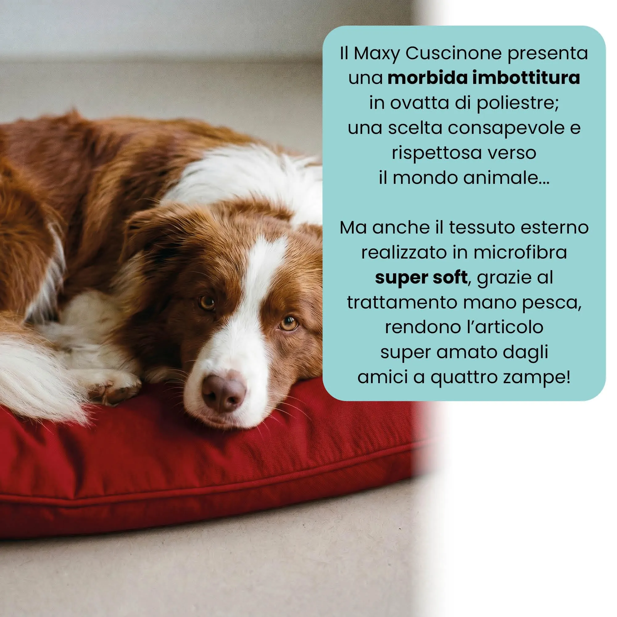 Maxy Cuscinone Cane e Gatto ELEGANT – Cuscino per Animali Domestici Imbottito e Trapuntato, in Microfibra, 60x100 cm, Materassino Morbido e Confortevole per Cani Taglia Piccola/Media/Grande, Rosso - immagine 3