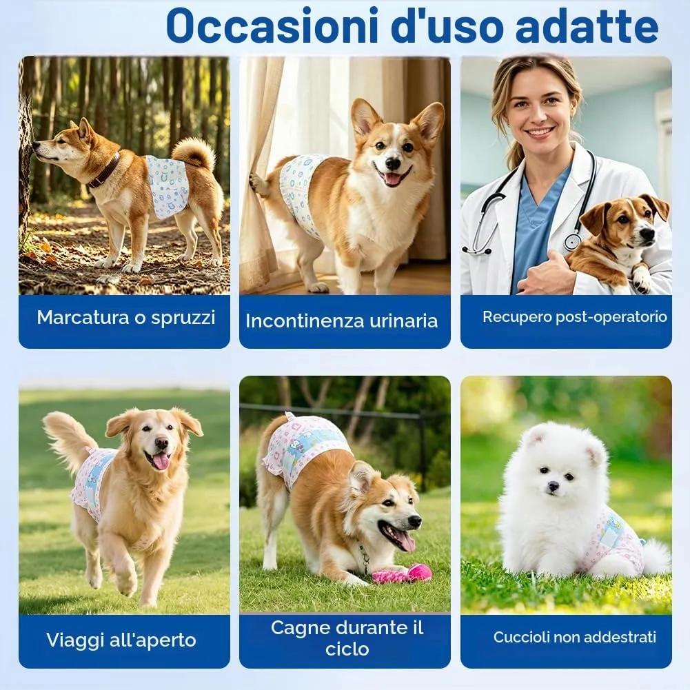 OFFCUP Pannolini USA E Getta, 24 Pannolini per Can, Fascia per Cani Maschi - immagine 7