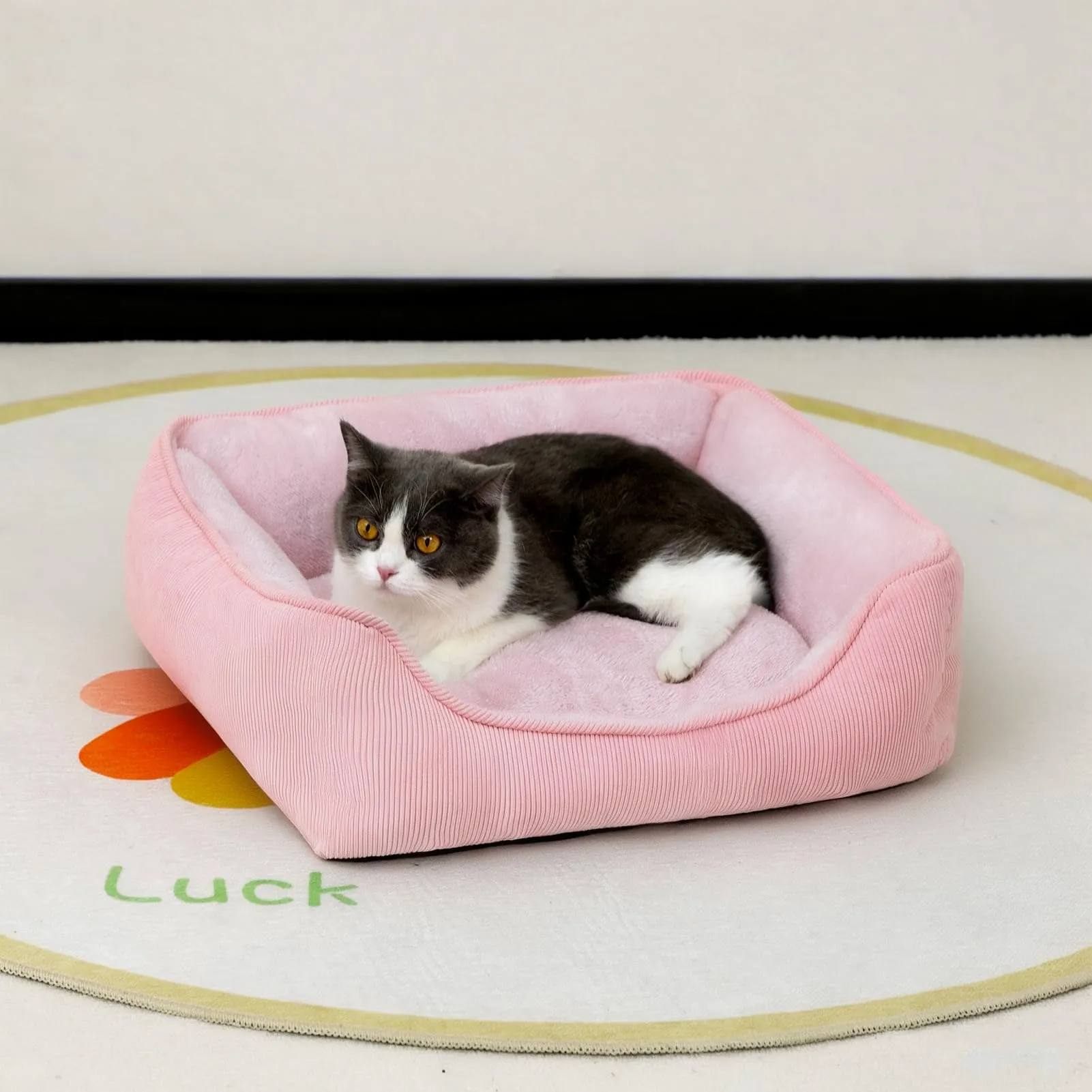 Hollypet Cuccia per gatti e cuccioli - immagine 3