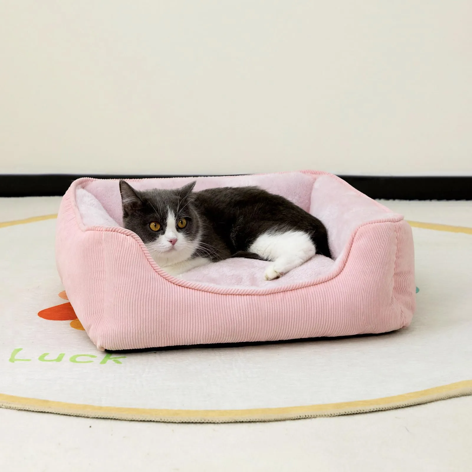Hollypet Cuccia per gatti e cuccioli - immagine 4