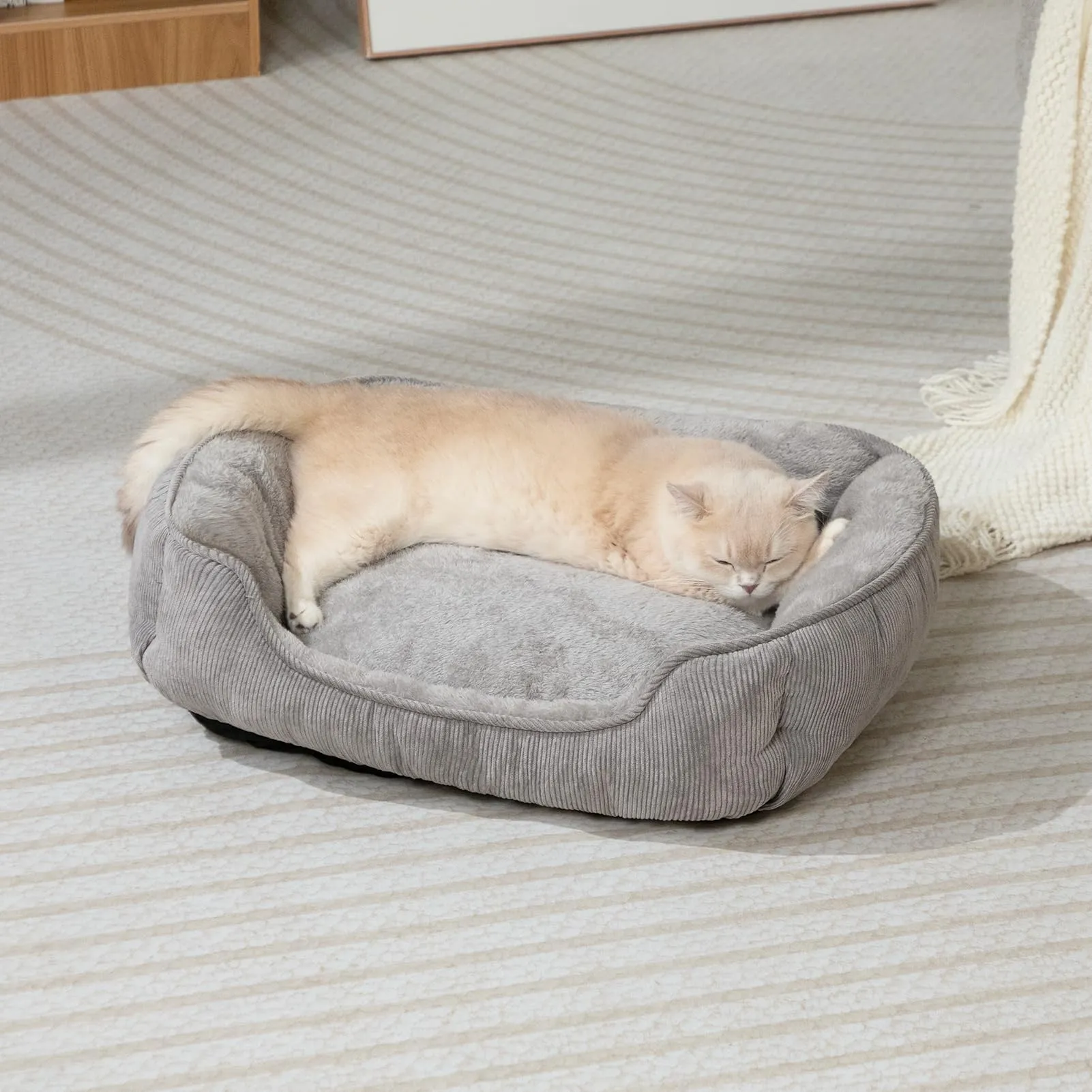 Hollypet Letto per Gatti e Cani di Piccola Taglia, Cuccia per Cuccioli, Morbido Lettino per Animali Domestici, Grigio (55 * 45 * 15cm) - immagine 4
