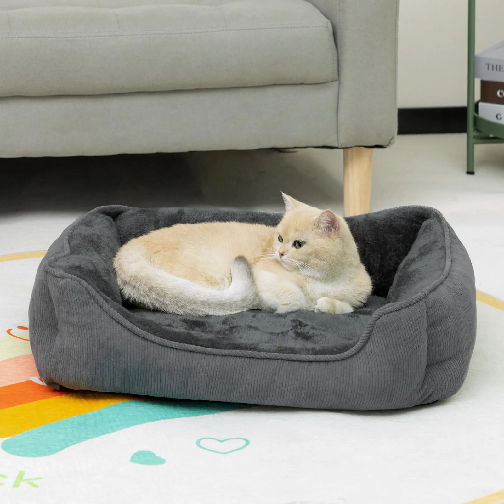 Hollypet Letto per Gatti e Cani di Piccola Taglia, Cuccia per Cuccioli, Morbido Lettino per Animali Domestici, Grigio Scuro (55 * 45 * 15cm) - immagine 3