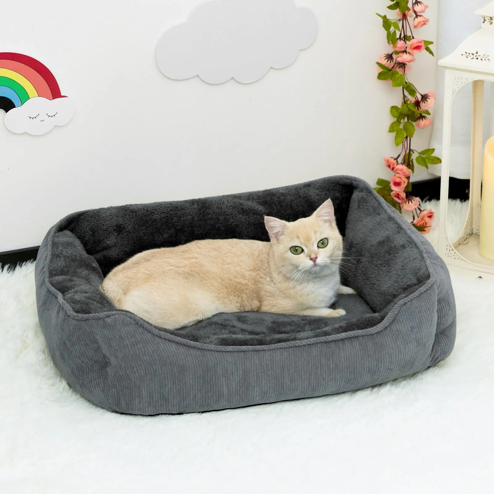 Hollypet Letto per Gatti e Cani di Piccola Taglia, Cuccia per Cuccioli, Morbido Lettino per Animali Domestici, Grigio Scuro (55 * 45 * 15cm) - immagine 4