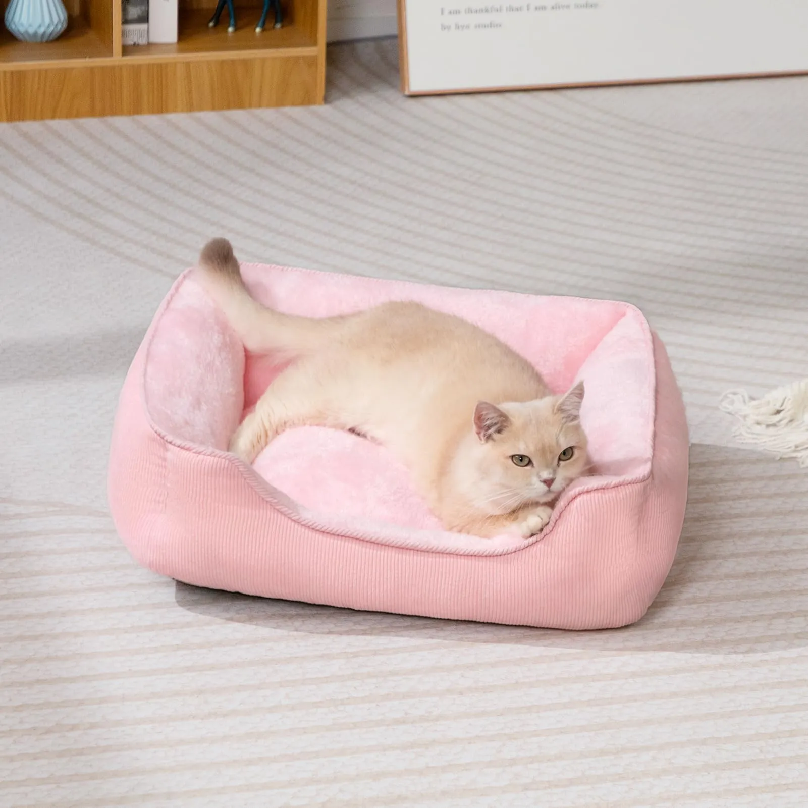 Hollypet Letto per Gatti Letto per Cani di Piccola Taglia, Cuccia per Gatti e Cuccioli, Letto Gatto Morbido Lettino per Animali Domestici, Rosa(55 * 45 * 15cm) - immagine 3