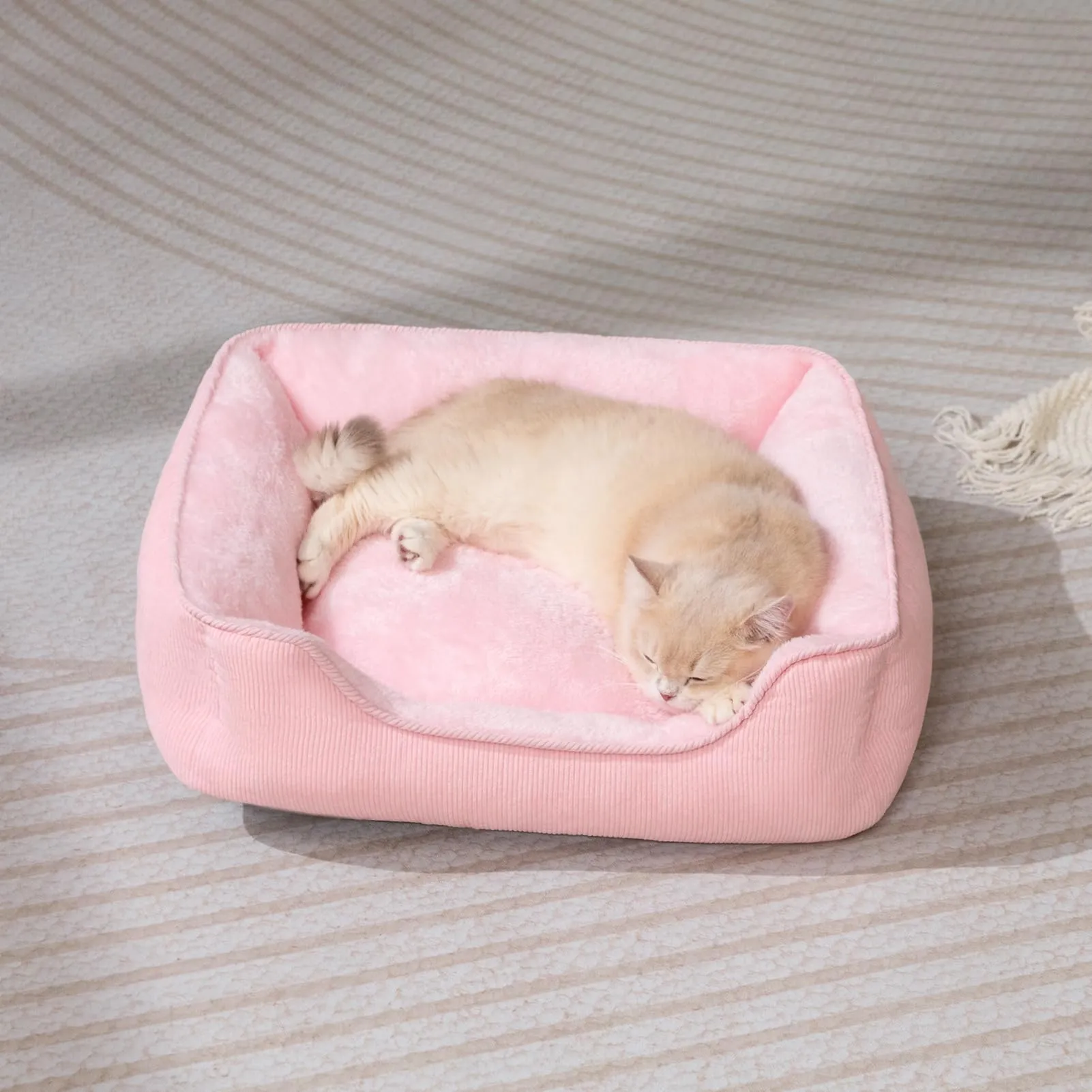 Hollypet Letto per Gatti Letto per Cani di Piccola Taglia, Cuccia per Gatti e Cuccioli, Letto Gatto Morbido Lettino per Animali Domestici, Rosa(55 * 45 * 15cm) - immagine 4