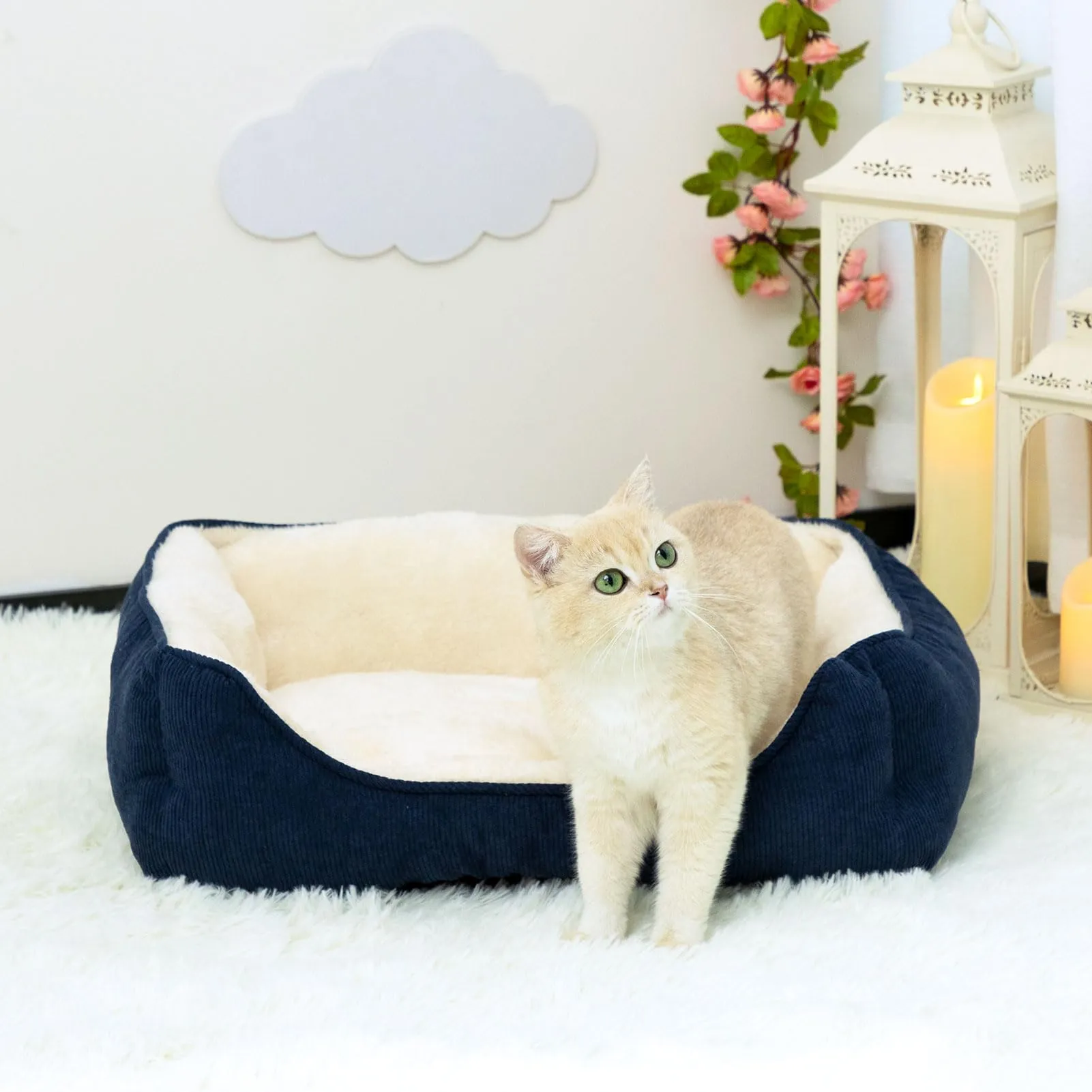 Hollypet Letto per Gatti Letto per Cani di Piccola Taglia, Cuccia per Gatti e Cuccioli, Letto Gatto Morbido Lettino per Animali Domestici, Blu (50 * 45 * 15cm) - immagine 3