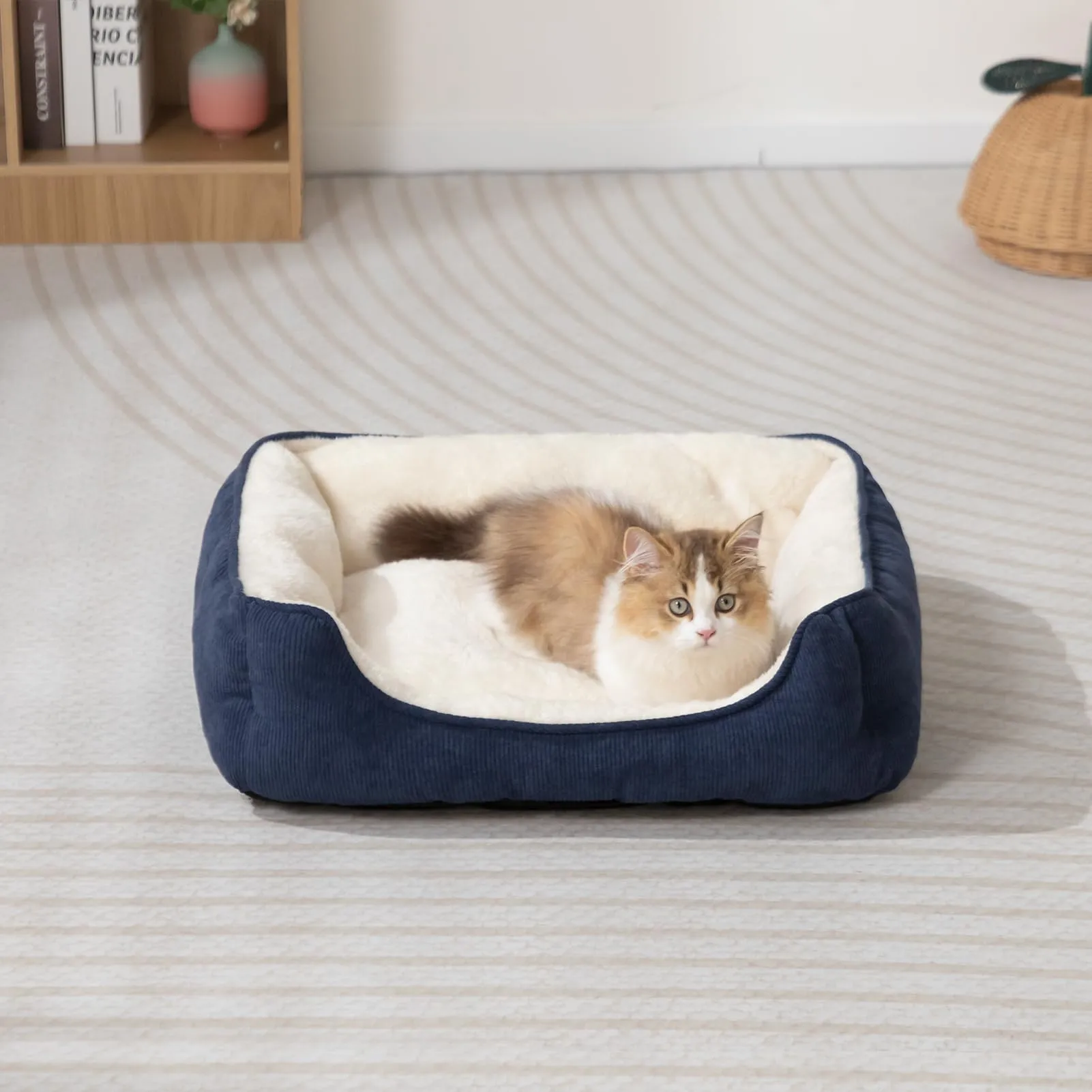 Hollypet Letto per Gatti Letto per Cani di Piccola Taglia, Cuccia per Gatti e Cuccioli, Letto Gatto Morbido Lettino per Animali Domestici, Blu (50 * 45 * 15cm) - immagine 4