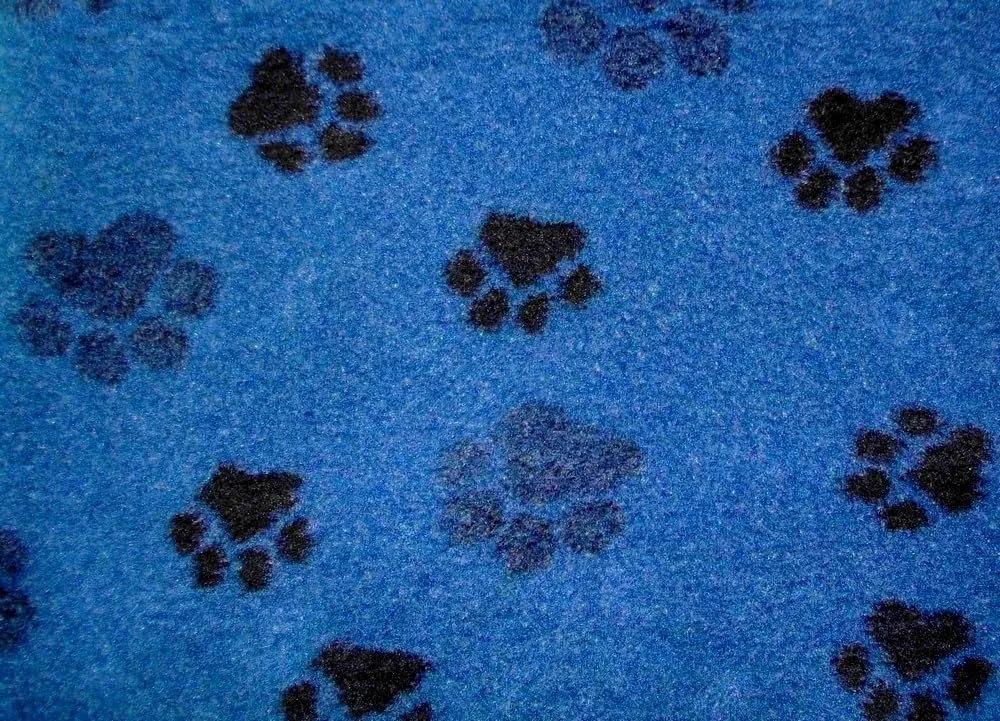 Profleece Non Slip Vet Bedding Originale 100 x 75 cm Tappeto per Cani e Gatti Incontinenti, Anziani, Malati Termoisolante, Filtra i Liquidi, Mantiene il Pelo Asciutto. (Azzurro Zampe Nere) - immagine 2