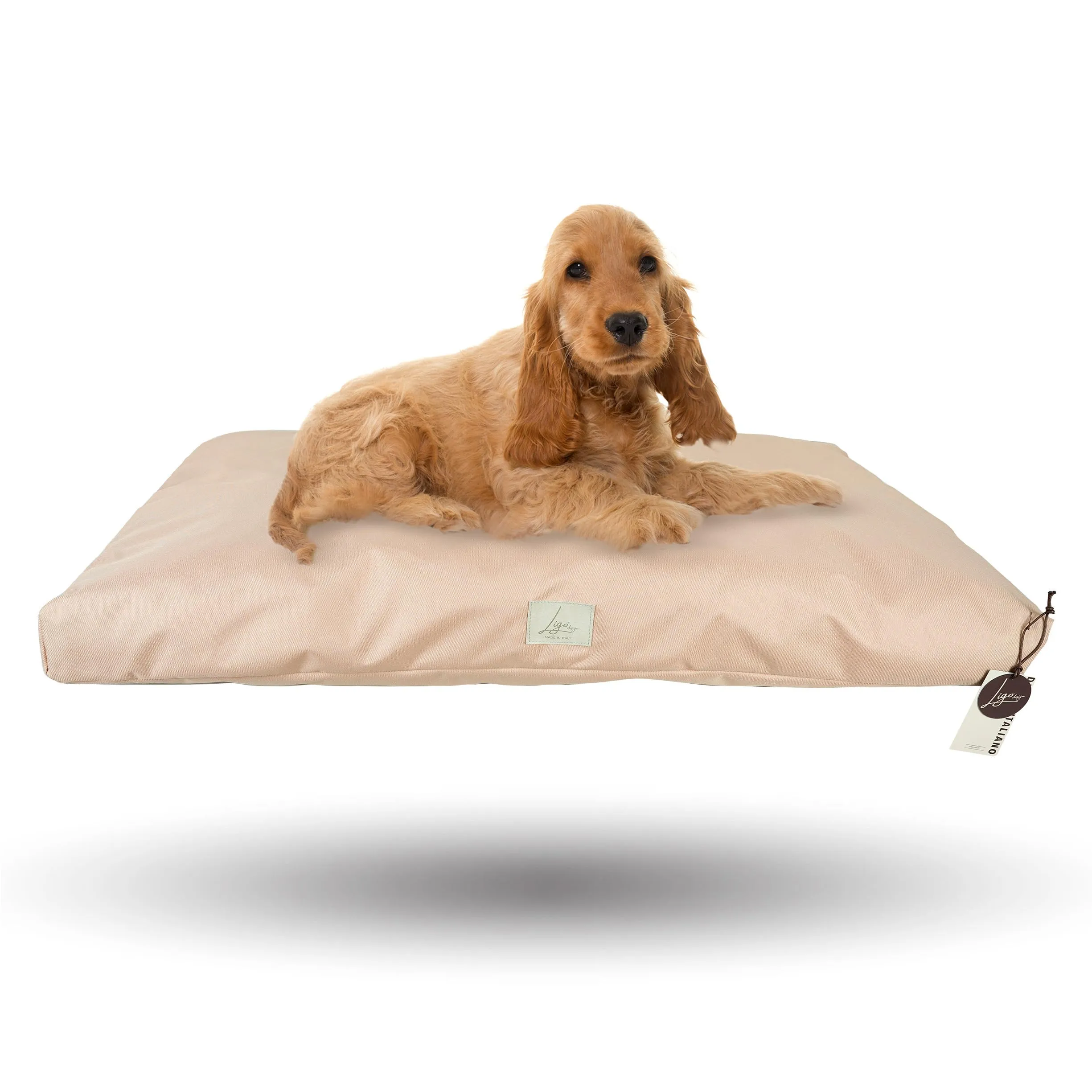 Ligo Tommy - Materasso per Cani Idrorepellente e AntiGraffio, Realizzato in Italia. Cuscino Cuccia per Cane AntiGraffio antimacchia Perfetto per l'uso Interno ed Esterno. (L: 120 x 70 cm, BEIGE) - immagine 1