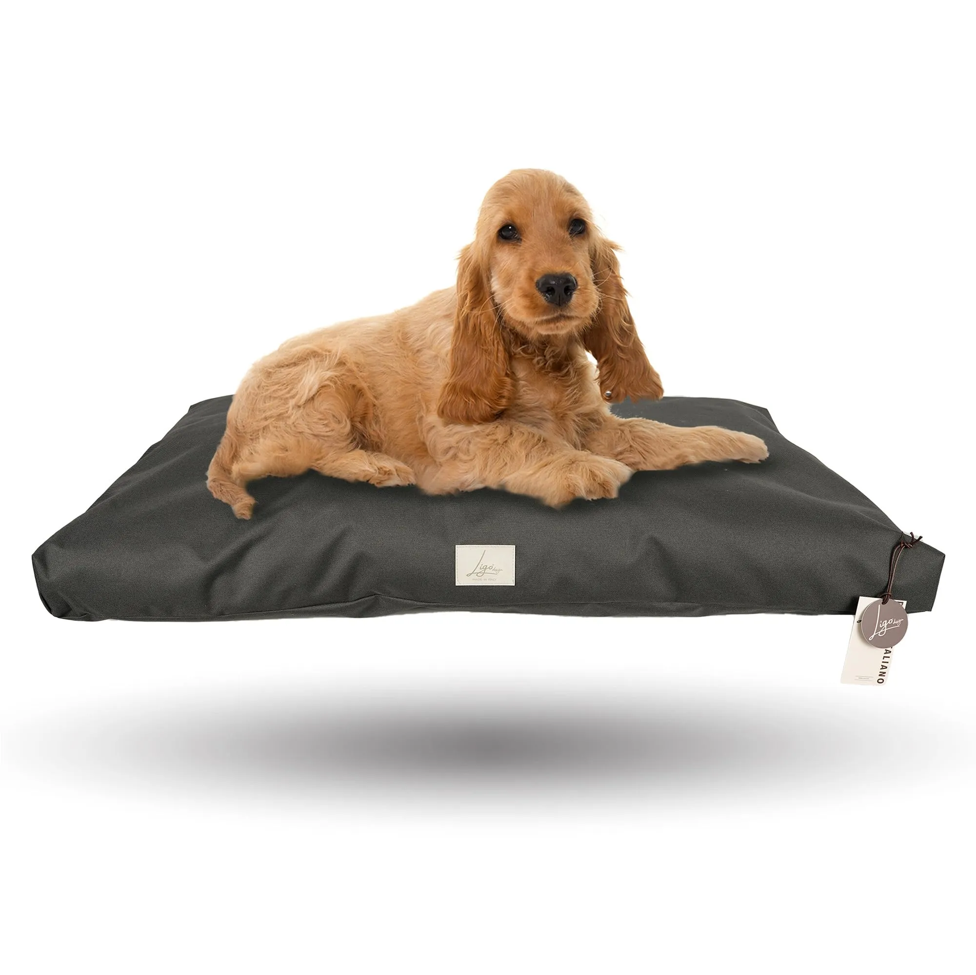 Ligo Tommy - Materasso per Cani Idrorepellente e AntiGraffio, Realizzato in Italia. Cuccia Sfoderabile per Cane antimacchia per uso Interno Esterno.Materassino cani. (L: 120 x 70 cm, ANTRACITE) - immagine 1
