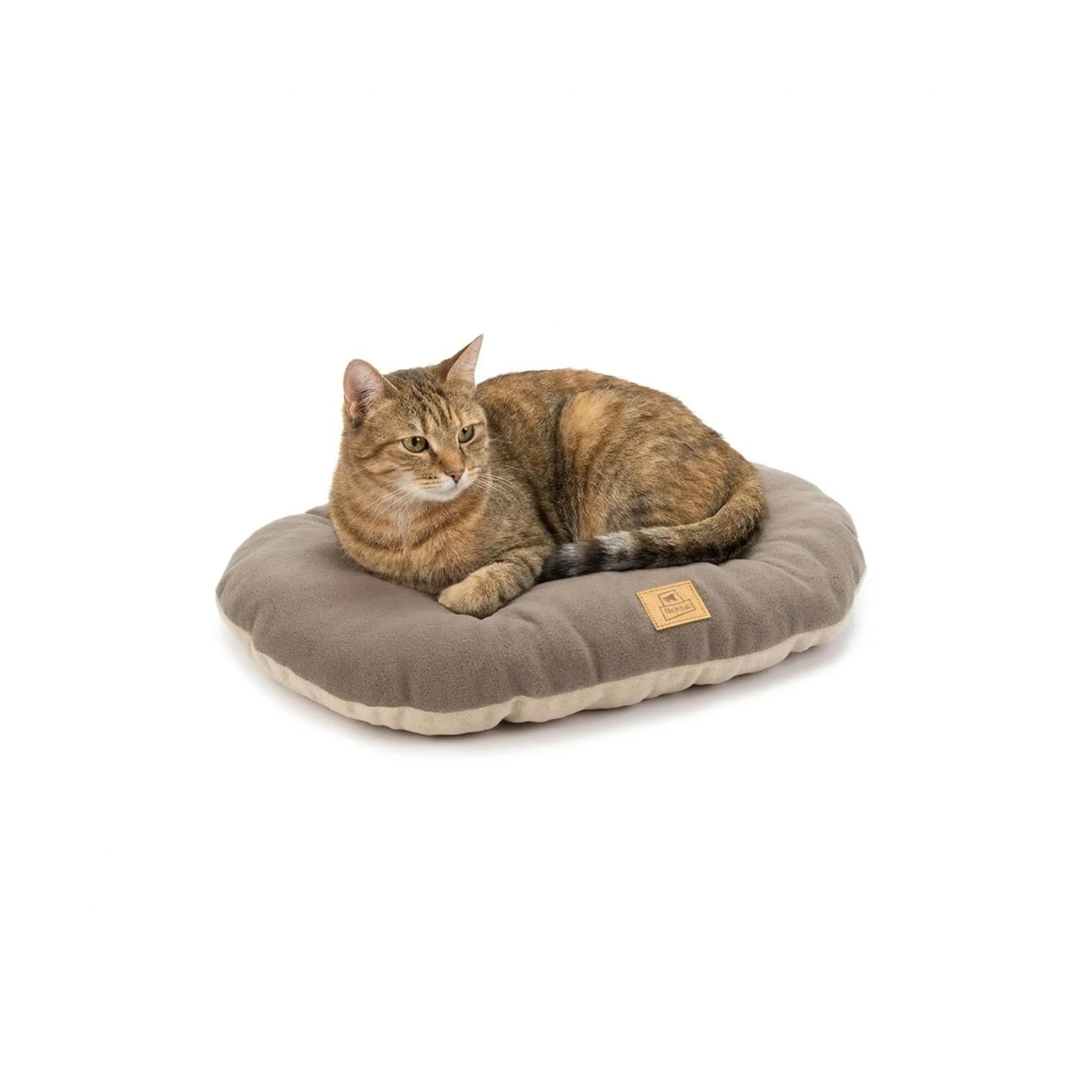Ferplast Cuscino Cane e Gatto RELAX MICROFLEECE, Cuccia in Caldo e Soffice Micropile per Taglia Piccola, Lettino per Cani Lavabile, 55 x 36 x 12 cm. Grigio Tortora - immagine 1
