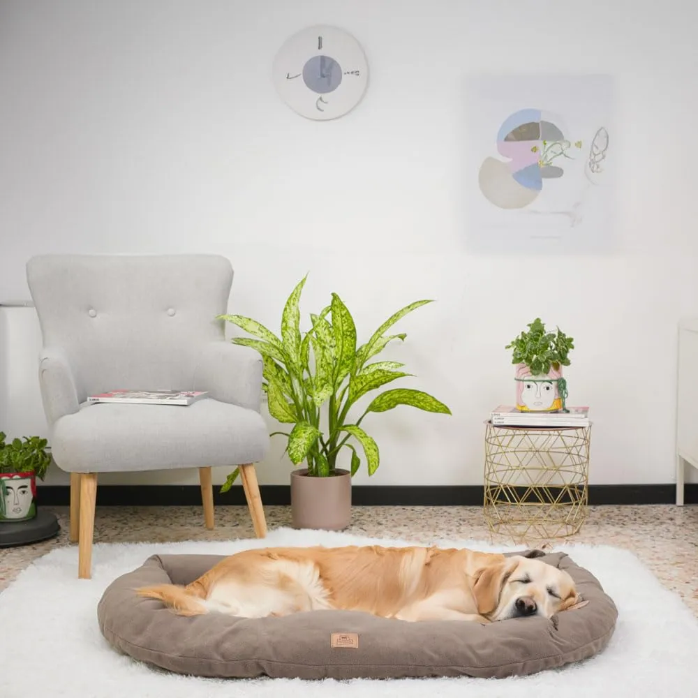 Ferplast Cuscino Cane e Gatto RELAX MICROFLEECE, Cuccia in Caldo e Soffice Micropile per Taglia Grande, Lettino per Cani Lavabile, 100 x 63 x 12 cm. Grigio Tortora - immagine 2