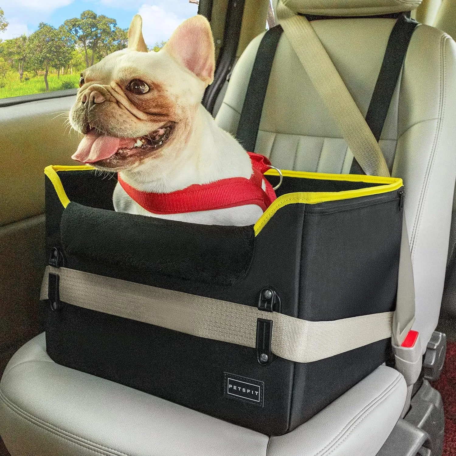 Petsfit Seggiolino Auto Trasportino per cani piccoli,Seggiolino cane auto anteriore con clip di sicurezza per la cintura e cuscino in peluche per cani piccoli fino a 6 kg - immagine 1