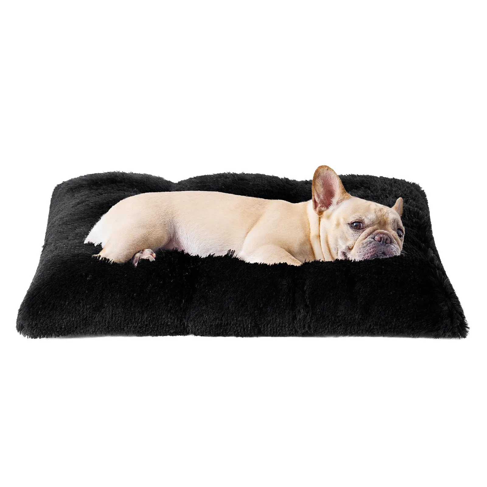 EHEYCIGA Cuscino per Cani Taglia Media, Cuscino Cane Morbida lavabile, Morbido e Confortevole Letto per Cani a Pelo Lungo, Nero, 75x50x7.5cm - immagine 1
