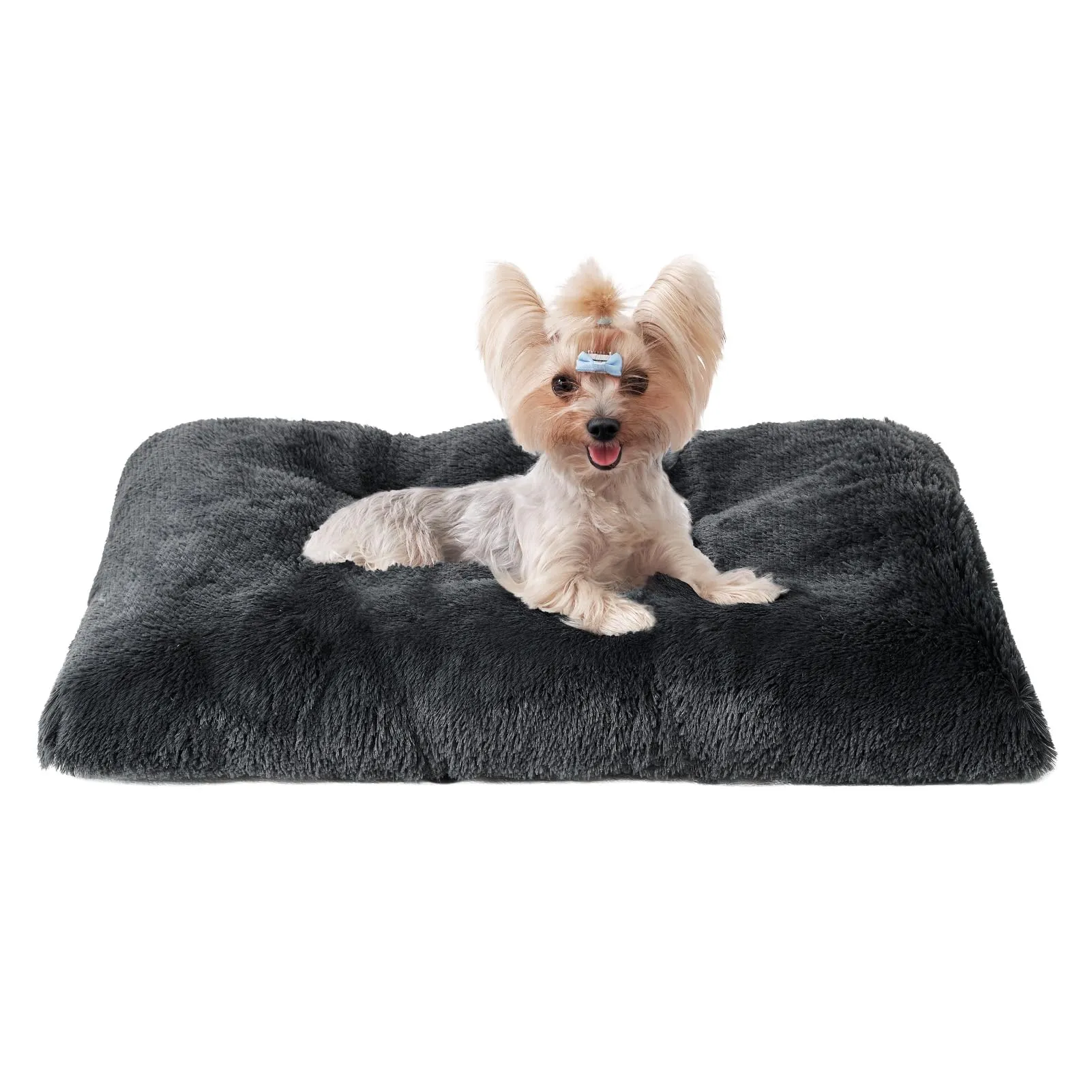 EHEYCIGA Cuscino per Cani Taglia Piccola, Cuscino Cane Morbida lavabile, Morbido e Confortevole Letto per Cani a Pelo Lungo, Grigio Scuro, 60x45x7.5cm - immagine 1