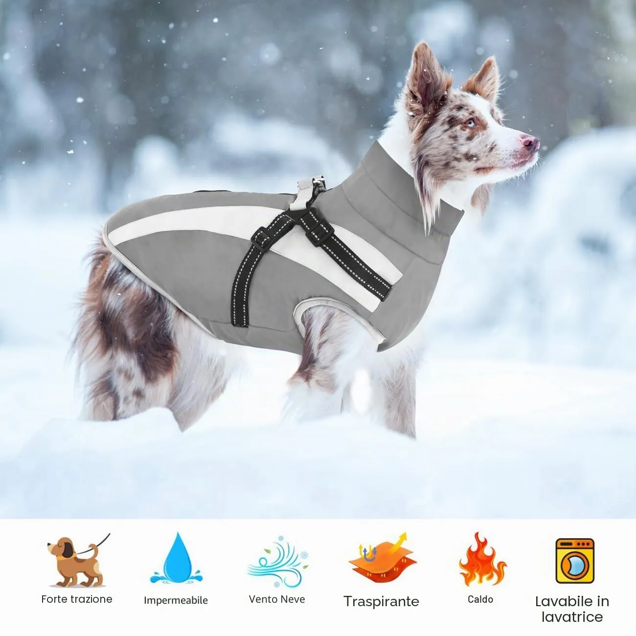 Oslueidy Impermeabile Cane Cappotto con Harness,Inverno Giacca Calda Antivento Pet cappottino Cane Giacche per Cani di piccola taglia media XL-6XL - immagine 5