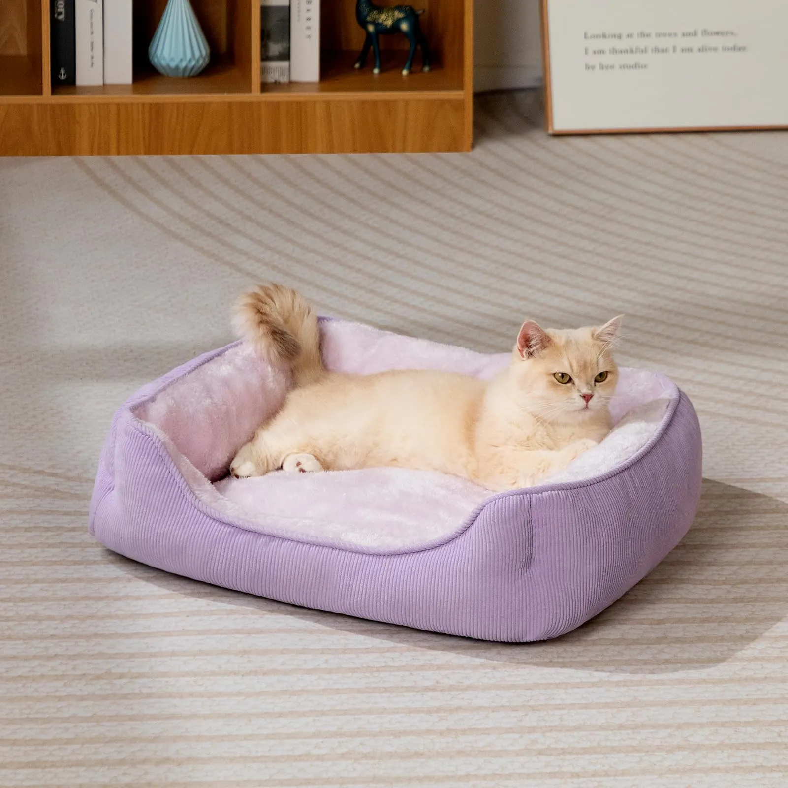 Hollypet Letto per Gatti e Cani di Piccola Taglia, Cuccia per Gatti e Cuccioli, Letto Cuscino Morbido e Traspirante per Dormire, Viola (55 * 45 * 15cm) - immagine 3
