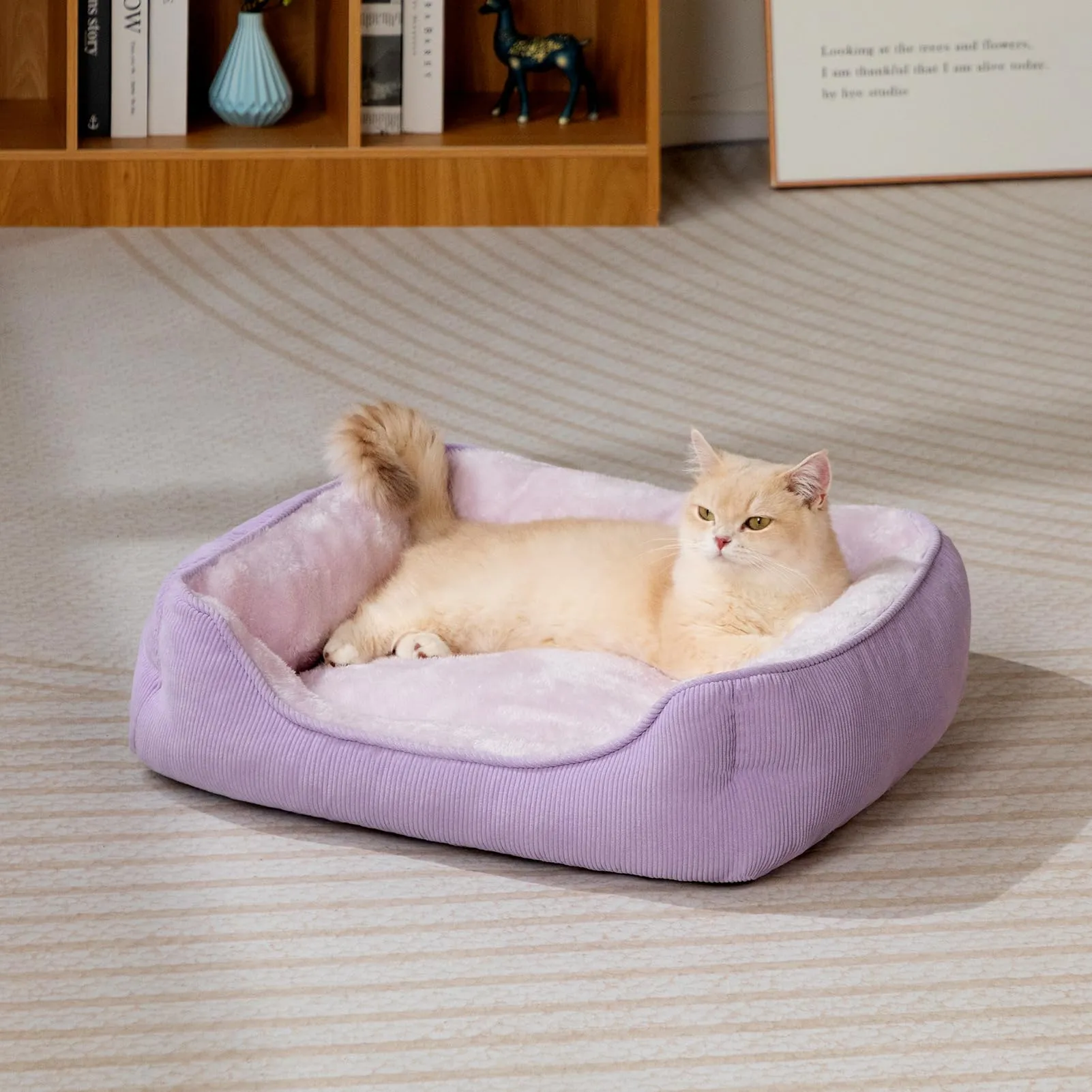 Hollypet Letto per Gatti e Cani di Piccola Taglia, Cuccia per Gatti e Cuccioli, Letto Cuscino Morbido e Traspirante per Dormire, Viola (55 * 45 * 15cm) - immagine 4