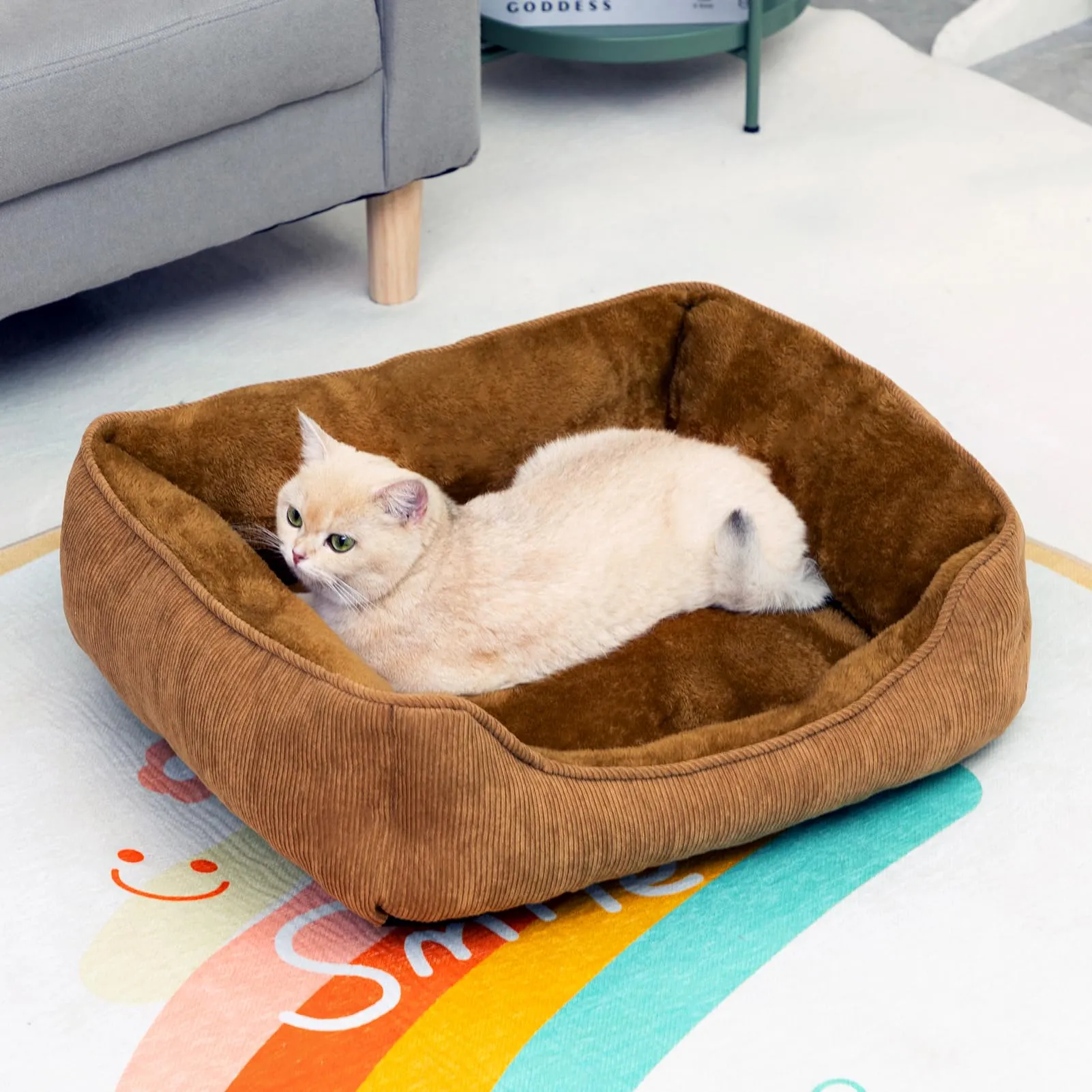 Hollypet Letto per Gatti Letto per Cani di Piccola Taglia, Cuccia per Gatti e Cuccioli, Letto Cuscino Morbido e Traspirante per Dormire, Marrone (55 * 45 * 15cm) - immagine 3