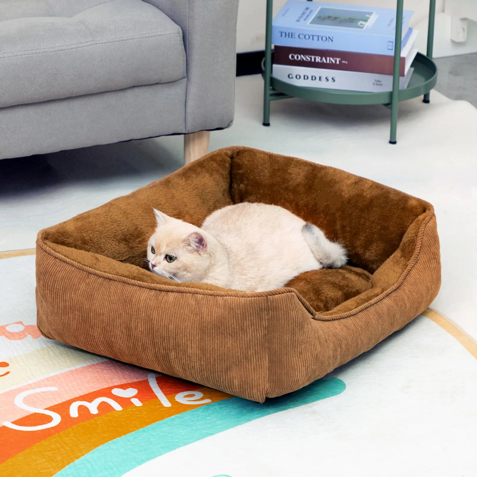 Hollypet Letto per Gatti Letto per Cani di Piccola Taglia, Cuccia per Gatti e Cuccioli, Letto Cuscino Morbido e Traspirante per Dormire, Marrone (55 * 45 * 15cm) - immagine 4