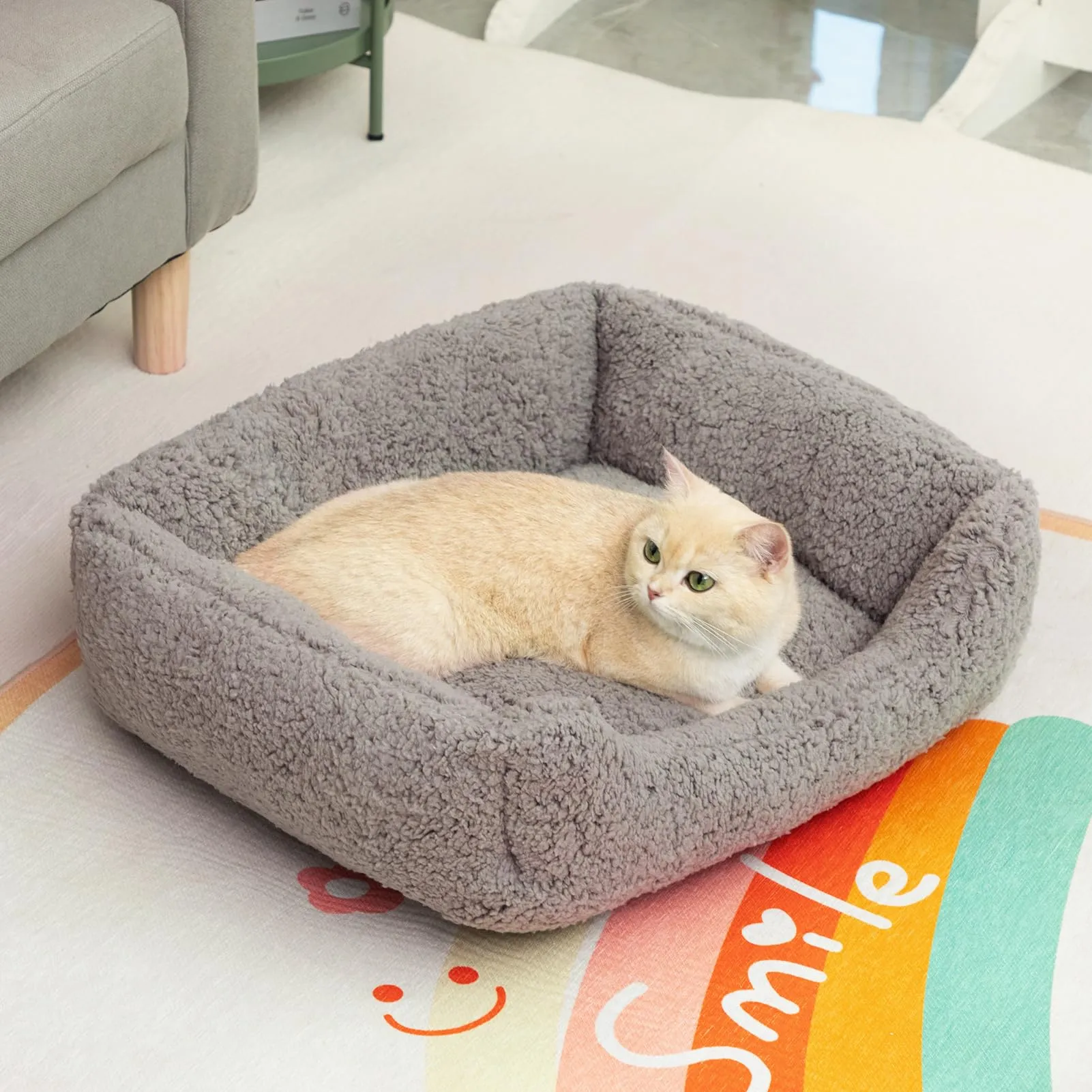 Hollypet Letto per Gatti, Cuccia per Gatti e Cani di Piccola Taglia, Letto Cuscino Morbido e Traspirante per Dormire, Grigio Chiaro (55 * 45 * 15cm) - immagine 3