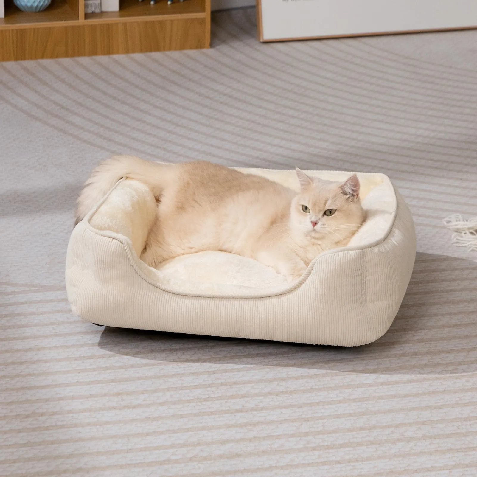Hollypet Letto per Gatti Letto per Cani di Piccola Taglia, Cuccia per Gatti e Cuccioli, Letto Cuscino Morbido e Traspirante per Dormire, Beige (55 * 45 * 15cm) - immagine 3