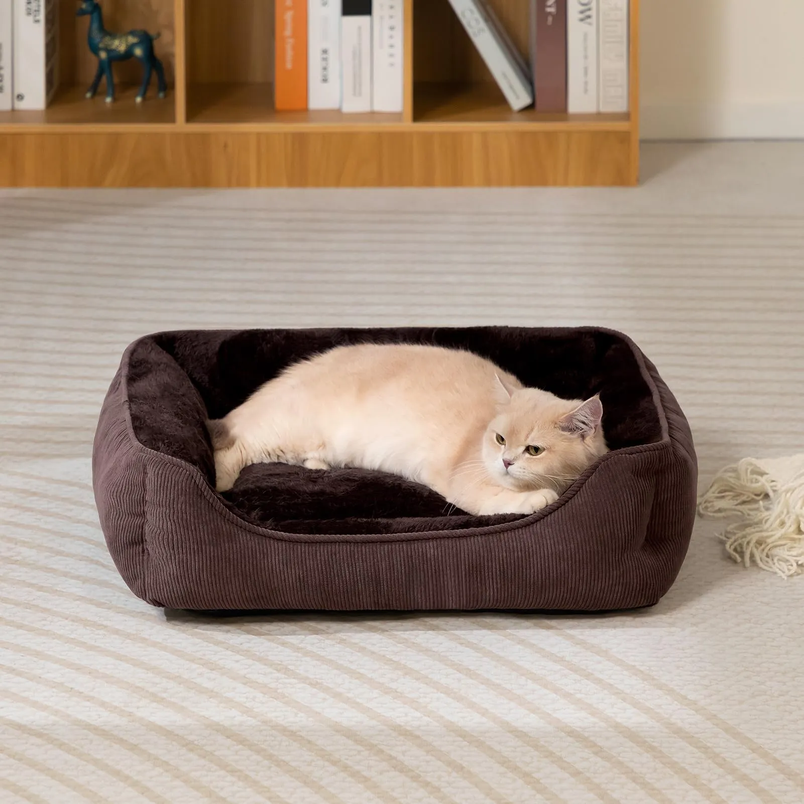 Hollypet Letto per Gatti Letto per Cani di Piccola Taglia, Cuccia per Gatti e Cuccioli, Letto Cuscino Morbido e Traspirante per Dormire, Caffè (55 * 45 * 15cm) - immagine 3