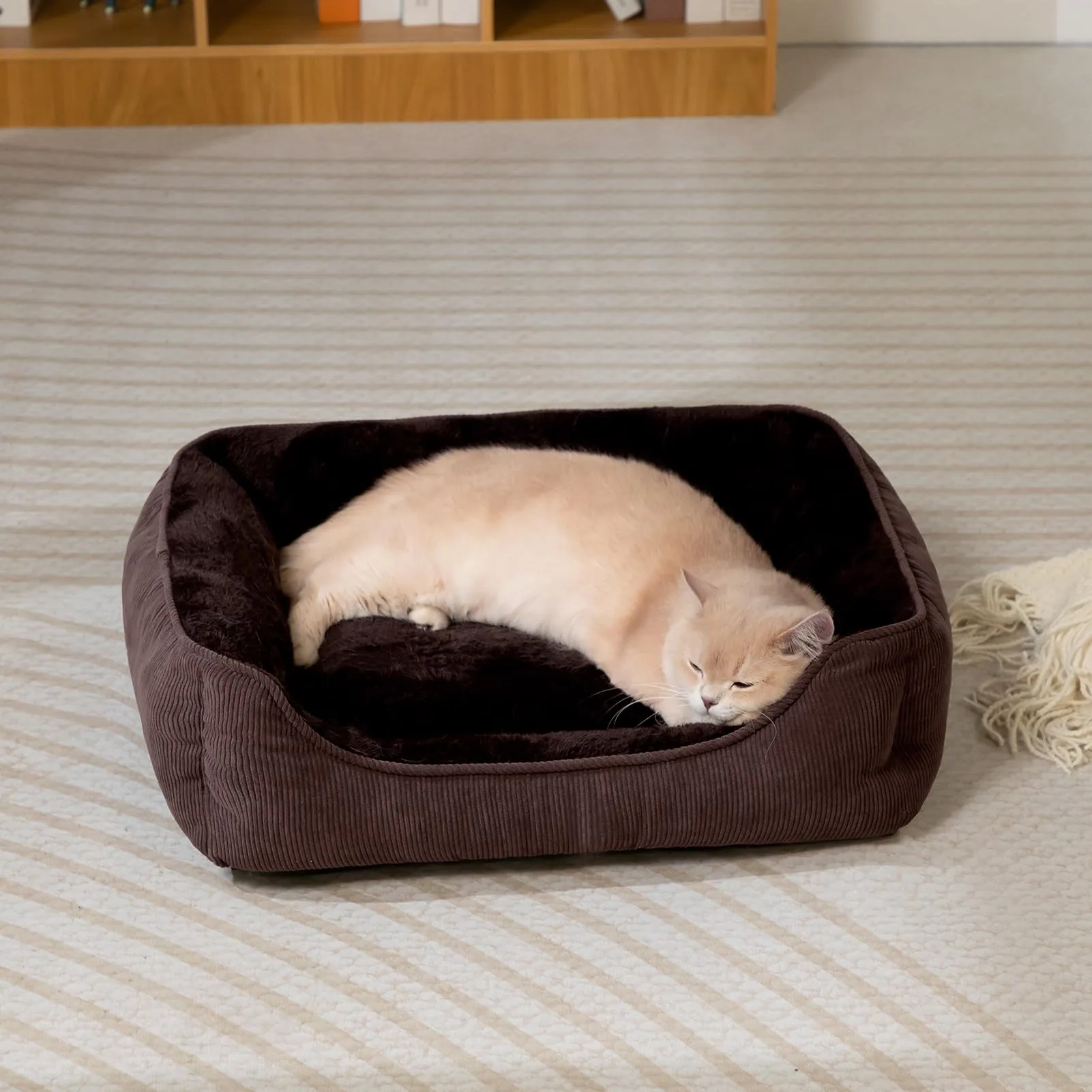 Hollypet Letto per Gatti Letto per Cani di Piccola Taglia, Cuccia per Gatti e Cuccioli, Letto Cuscino Morbido e Traspirante per Dormire, Caffè (55 * 45 * 15cm) - immagine 4