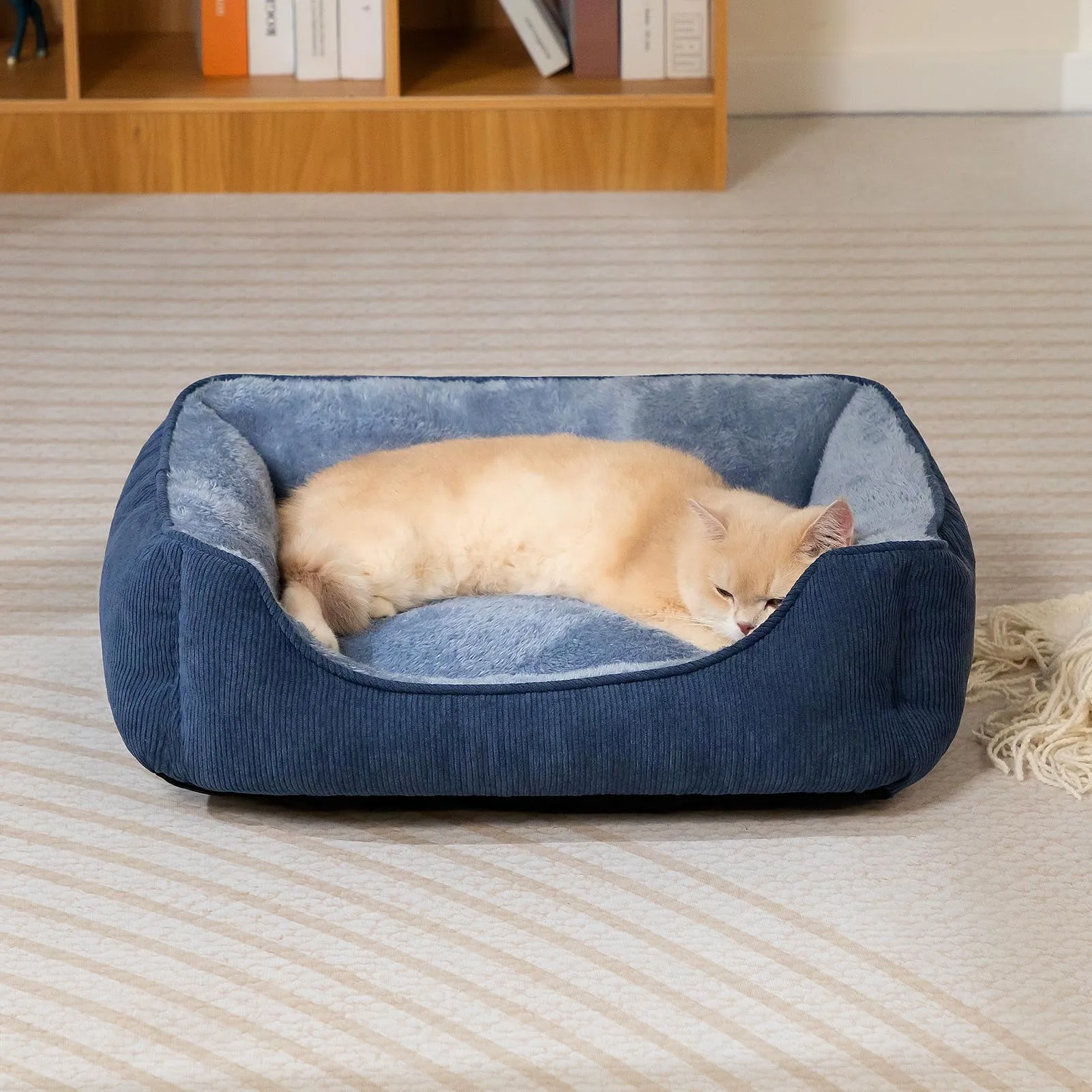 Hollypet Letto per Gatti Letto per Cani di Piccola Taglia, Cuccia per Gatti e Cuccioli, Letto Cuscino Morbido e Traspirante per Dormire, Blu-Grigio (55 * 45 * 15cm) - immagine 3