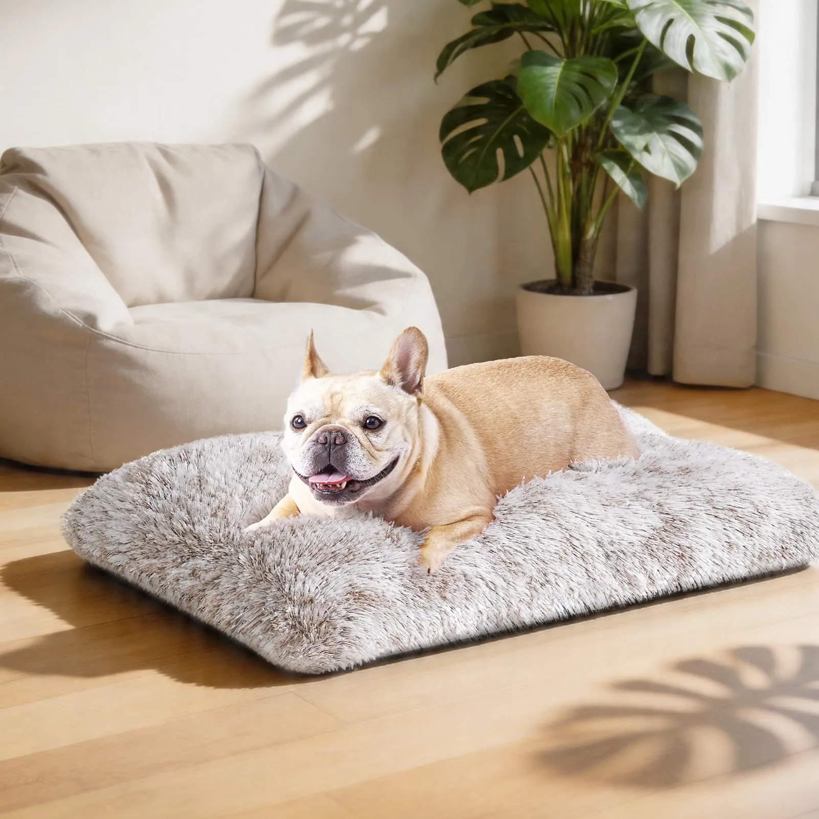 EHEYCIGA Cuscino per Cani Taglia Piccola, 60Lx45W cm Cuscino Cane Morbida lavabile, Morbido e Confortevole Letto per Cani a Pelo Lungo, Marrone - immagine 9