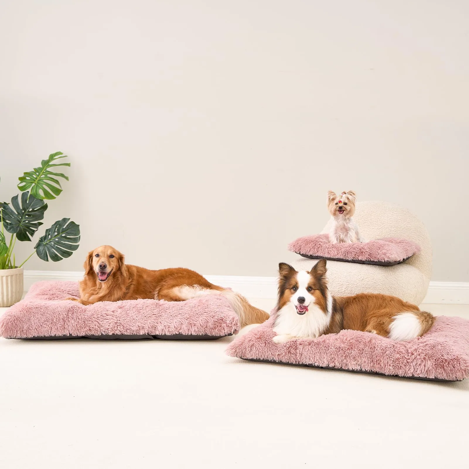 EHEYCIGA Cuscino per Cani Taglia Grande, 105L x 70W cm Cuscino Cane Morbida lavabile, Morbido e Confortevole Letto per Cani a Pelo Lungo, Rosa - immagine 9