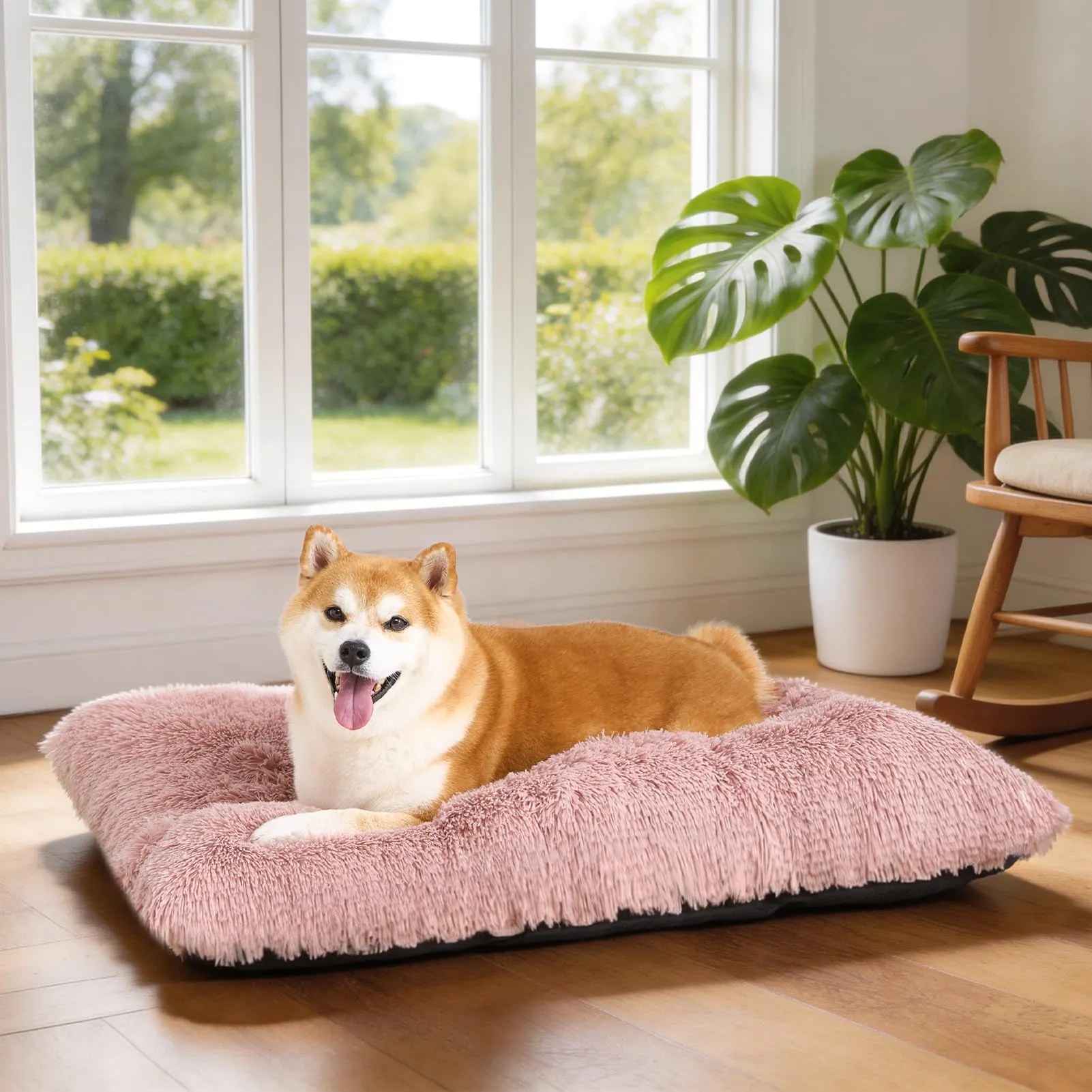 EHEYCIGA Cuscino per Cani Taglia Piccola, 60Lx45W cm Cuscino Cane Morbida lavabile, Morbido e Confortevole Letto per Cani a Pelo Lungo, Rosa - immagine 9