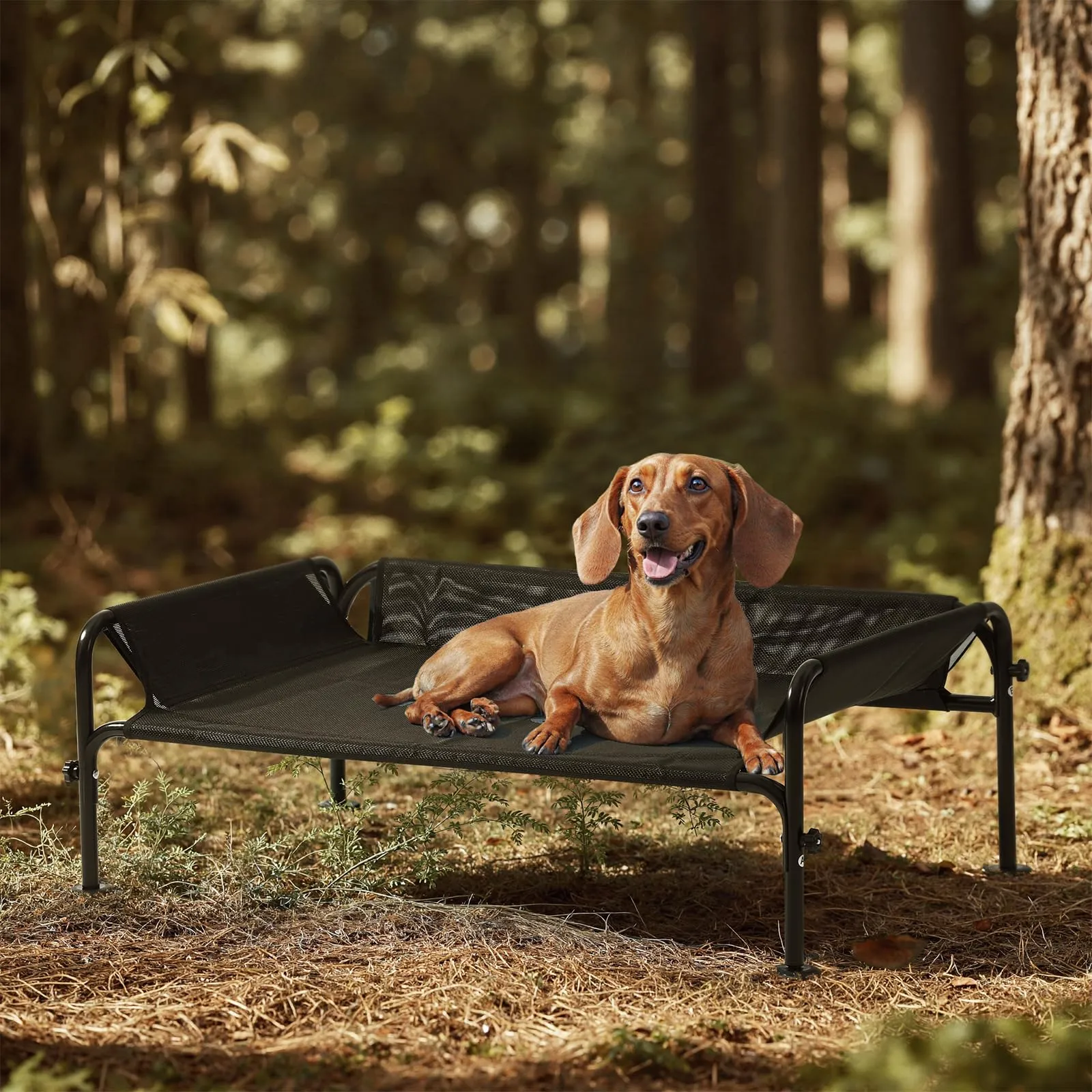 Gardner Pet Letto Rialzato per Cani, 88 x 55 x 31 cm, Nero - immagine 1